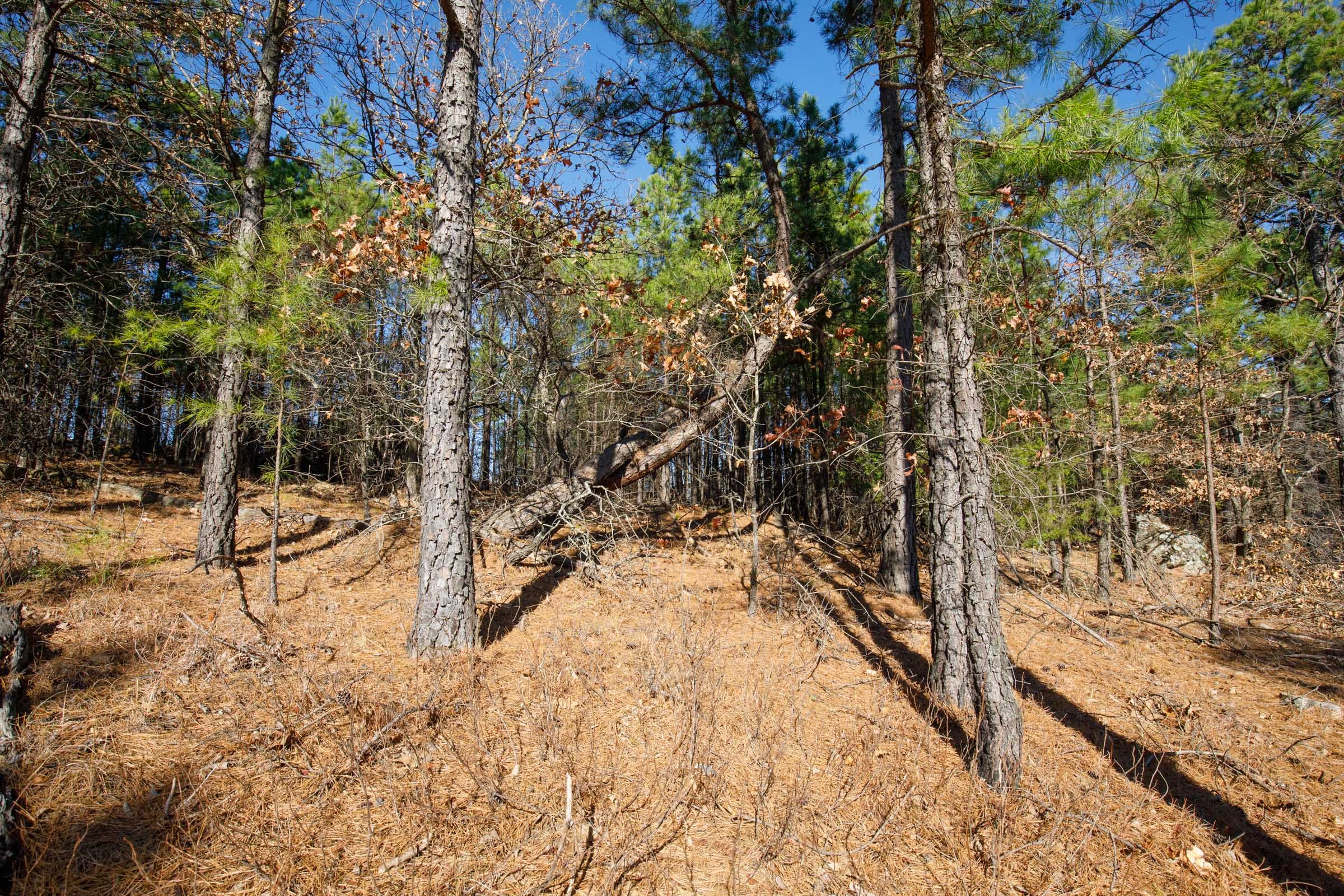 Stone Bridge Phase II Tract 95 photo 18