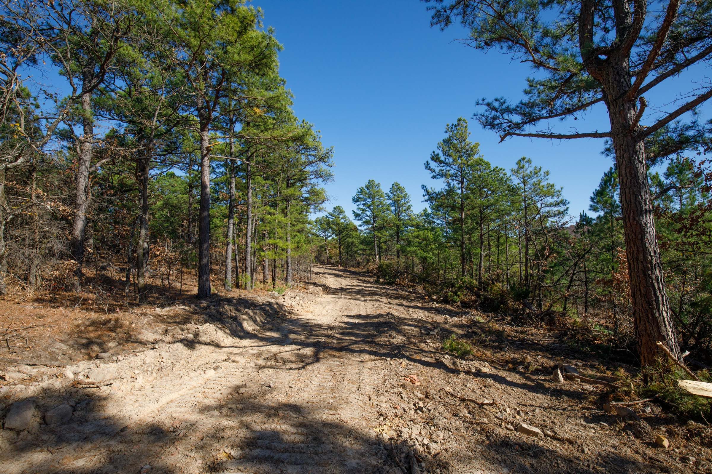 Stone Bridge Phase II Tract 95 photo 19