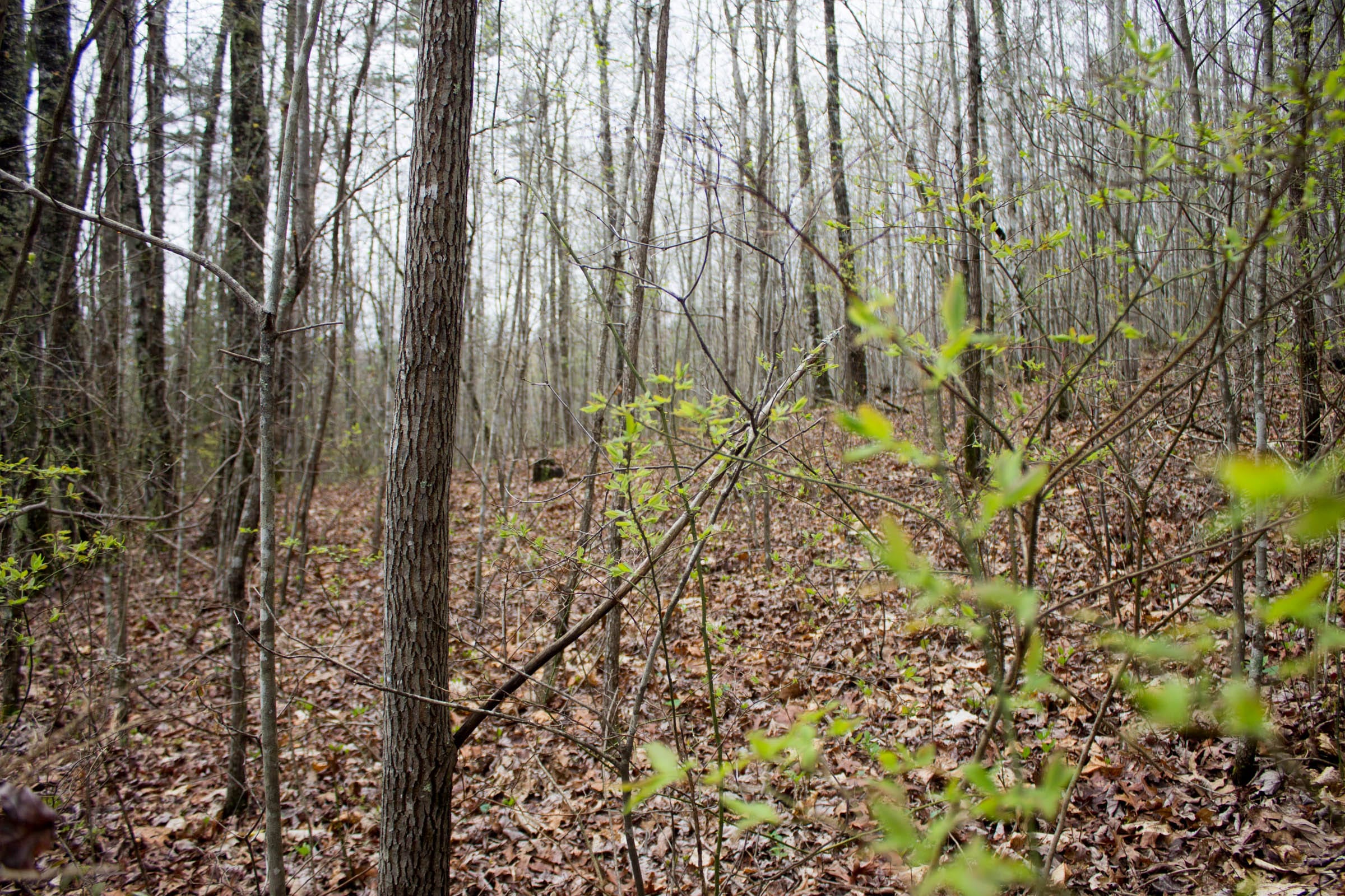 Hidden Hills Tract 9 photo 3