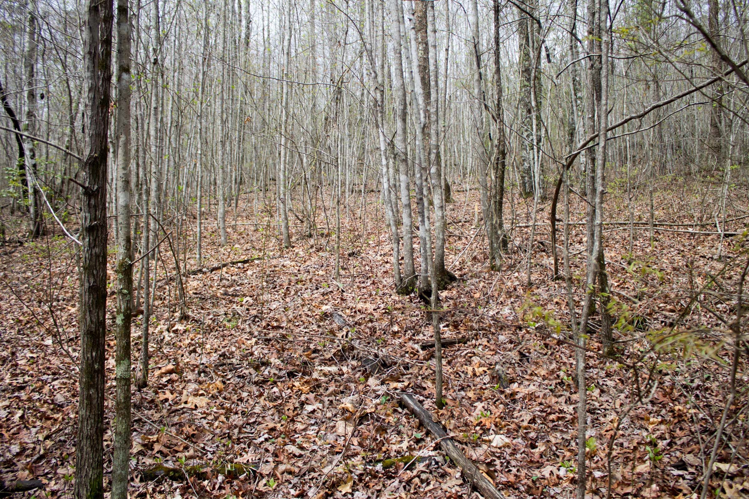 Hidden Hills Tract 9 photo 5