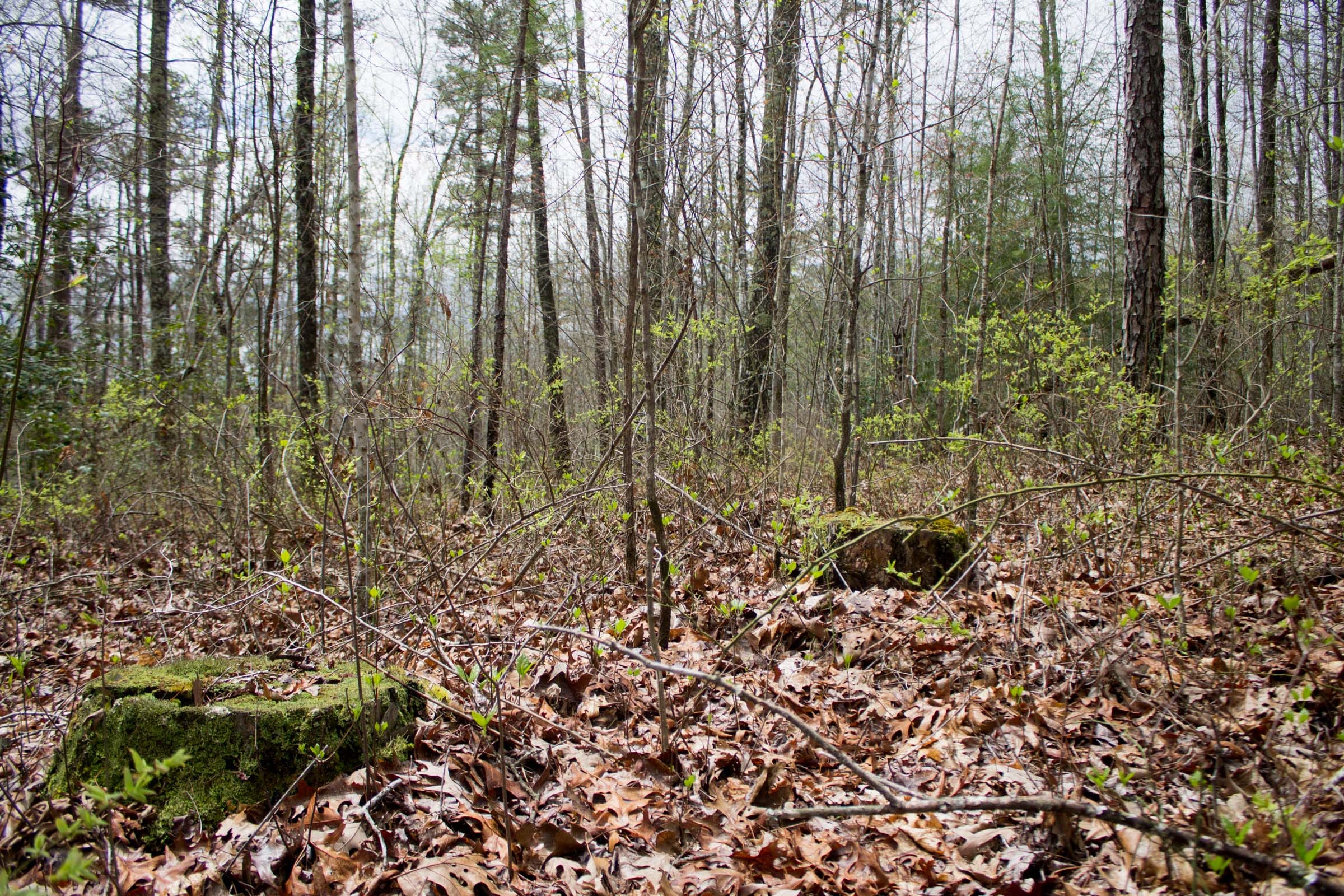 Hidden Hills Tract 9 photo 6