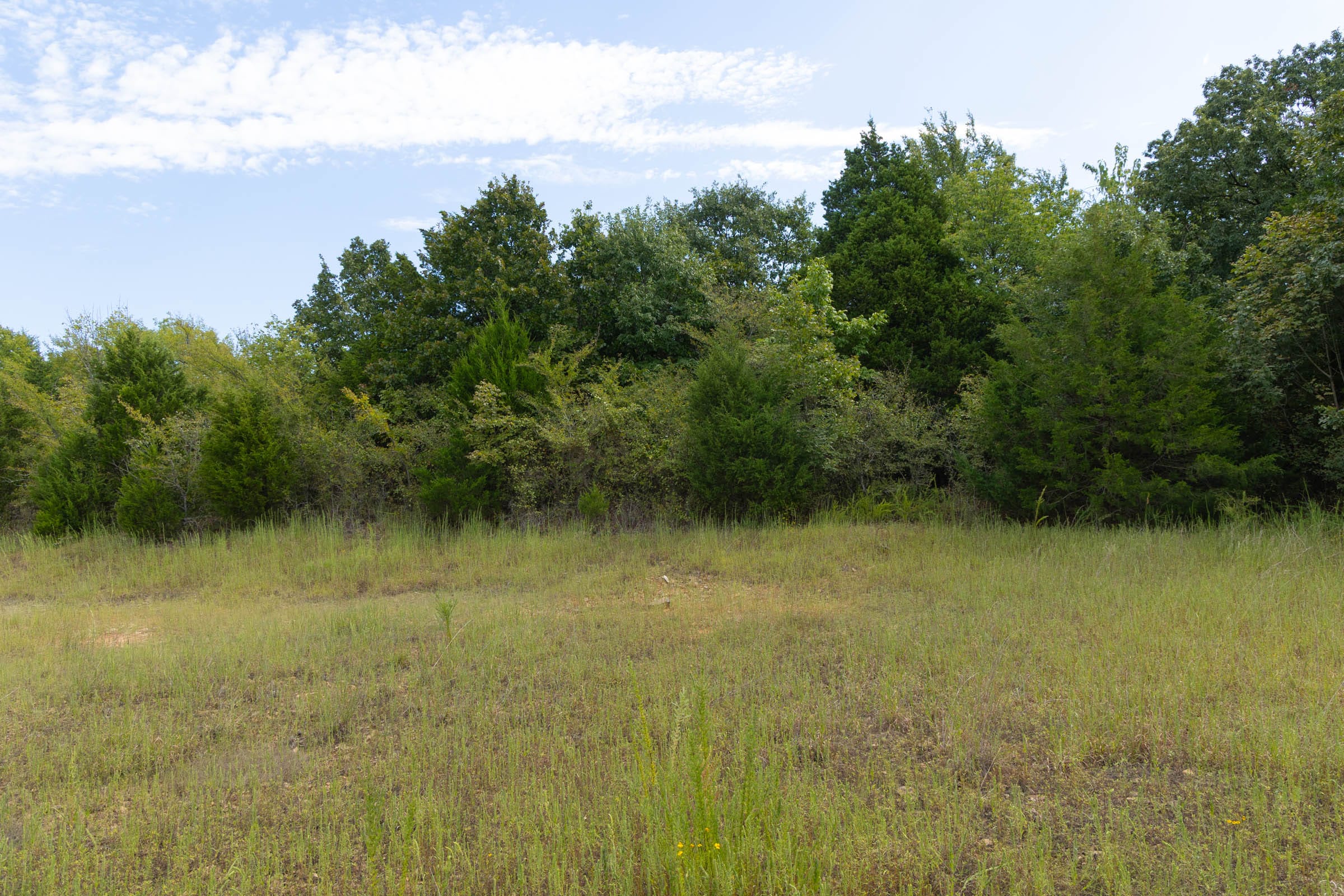 Reserves At Cattail Cove Phase II Tract 78 photo 13