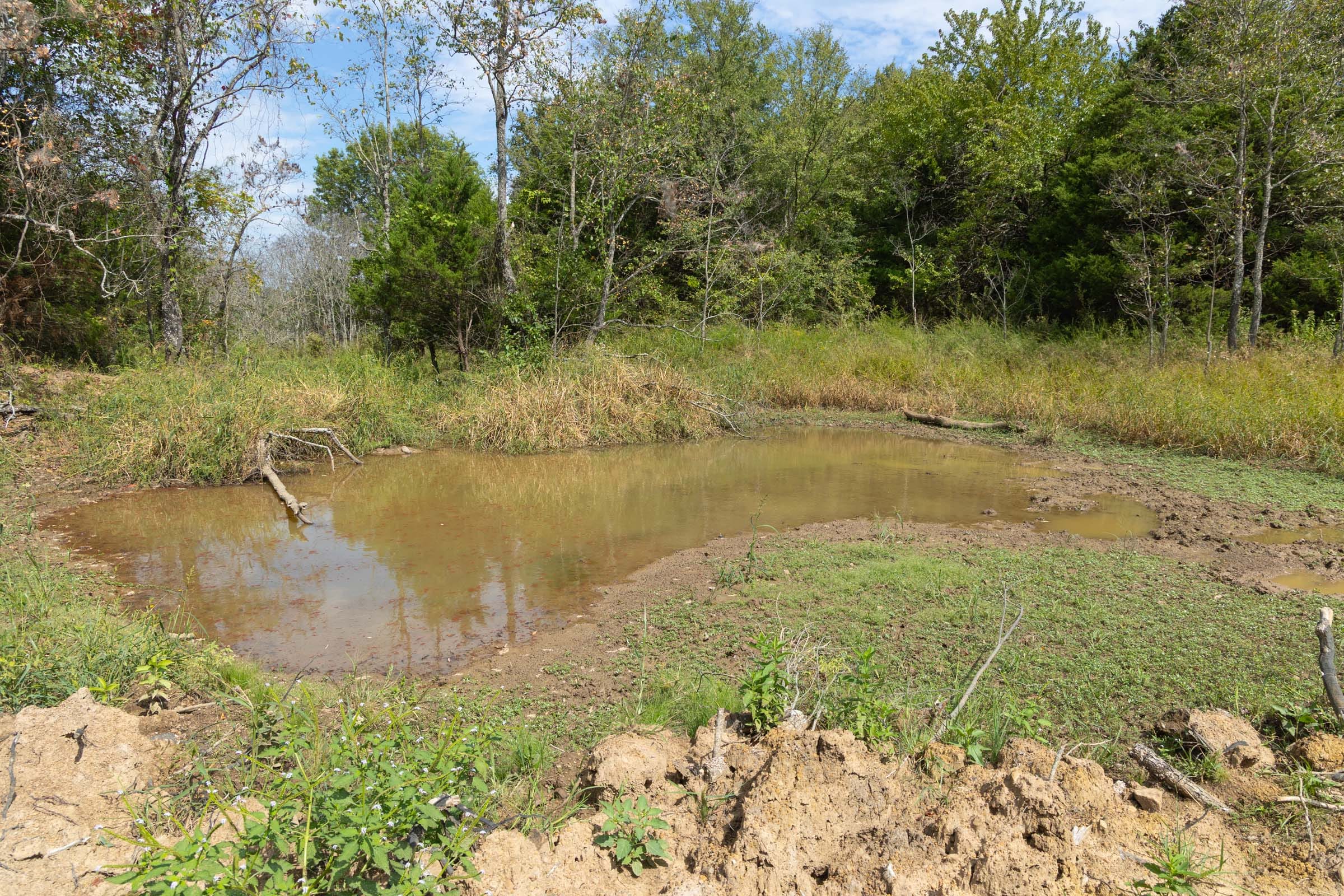 Reserves At Cattail Cove Phase II Tract 78 photo 12