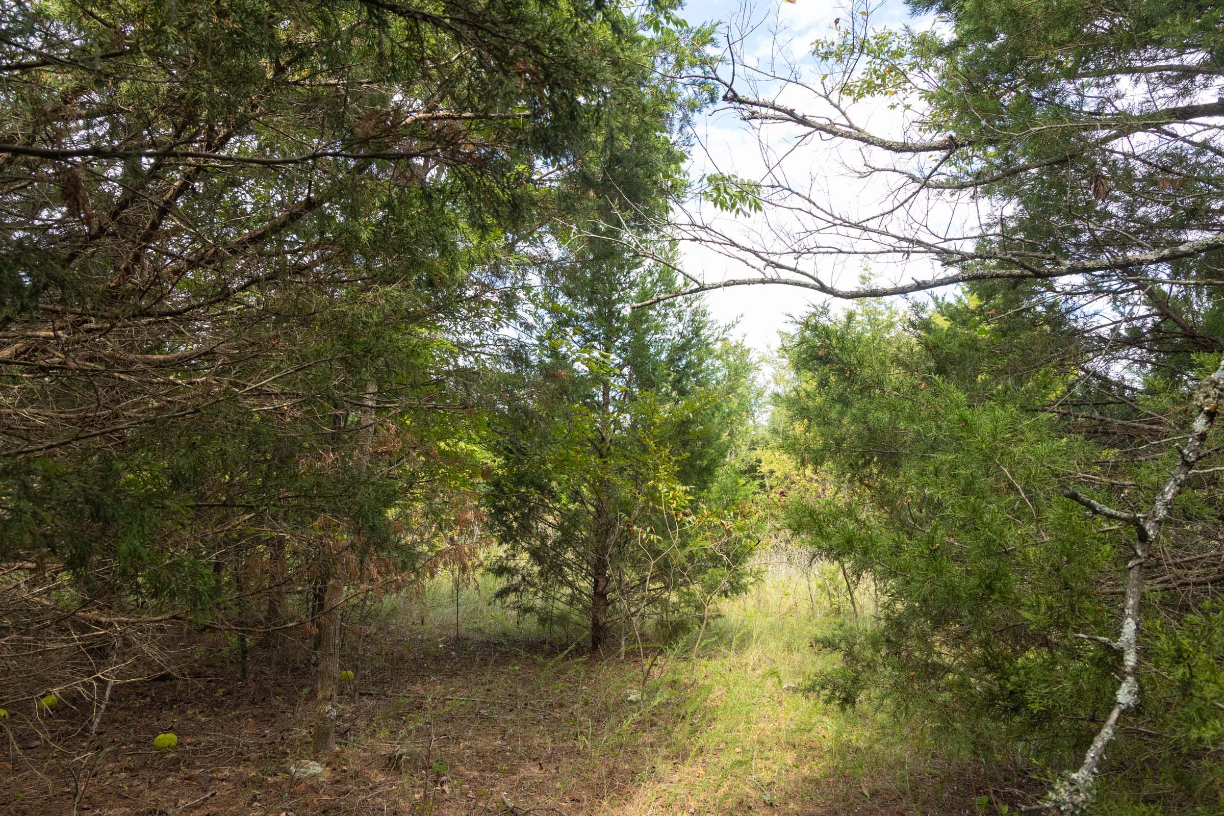 Reserves At Cattail Cove Phase II Tract 78 photo 26
