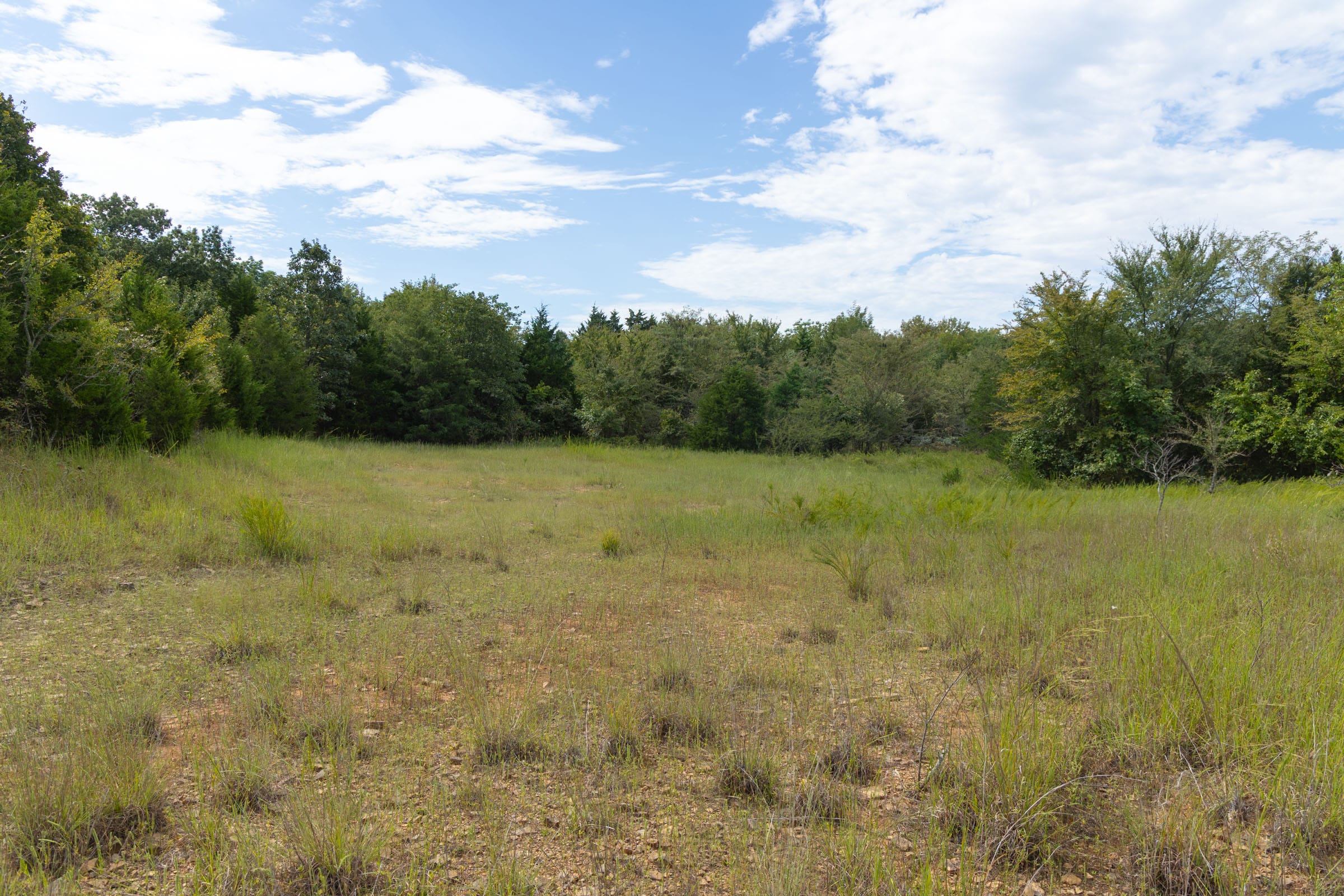 Reserves At Cattail Cove Phase II Tract 78 photo 22