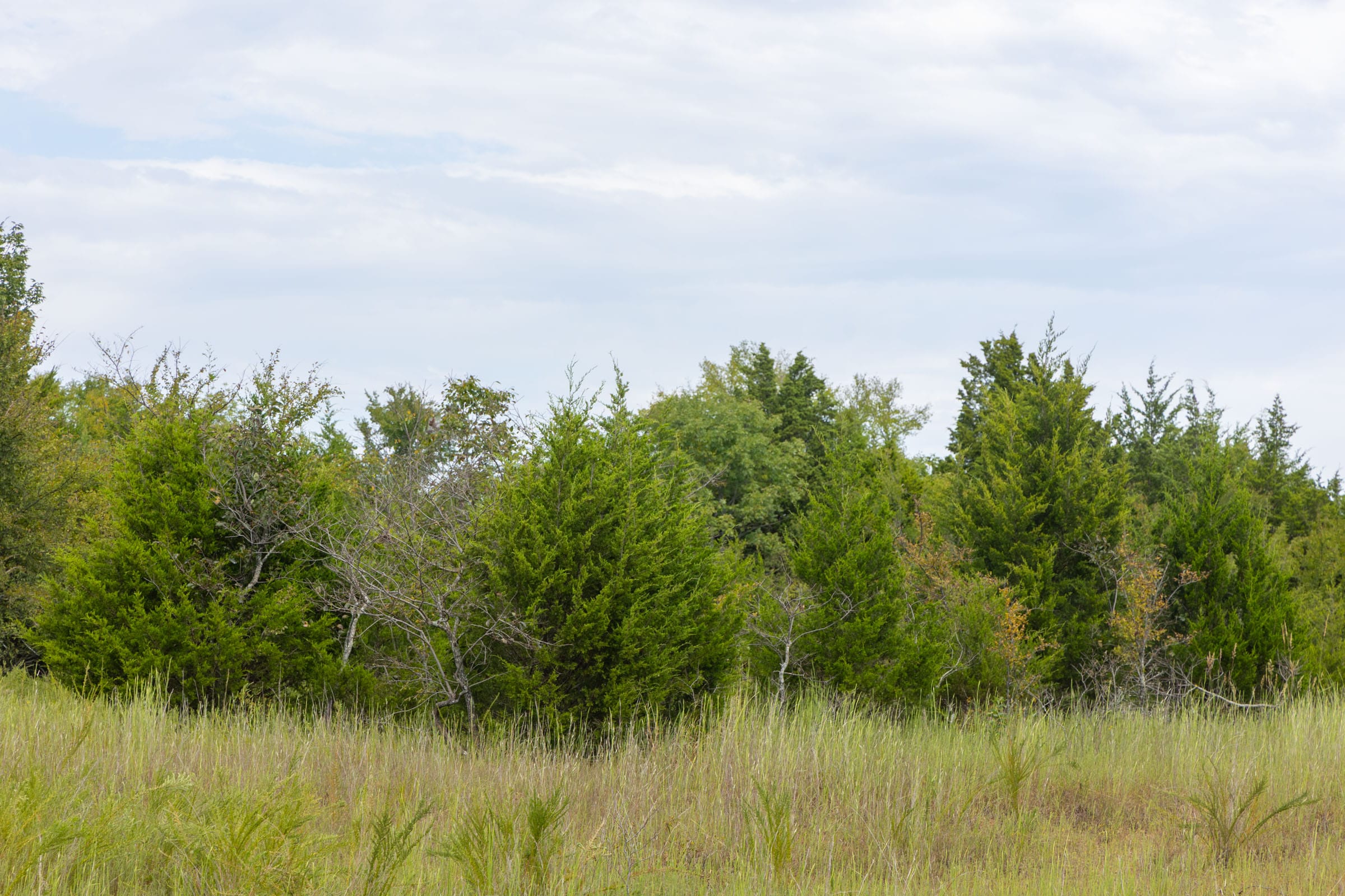 Reserves At Cattail Cove Phase II Tract 78 photo 21