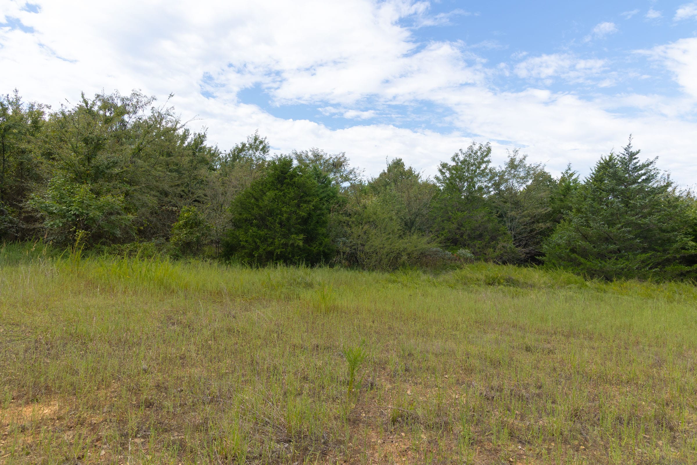 Reserves At Cattail Cove Phase II Tract 78 photo 20