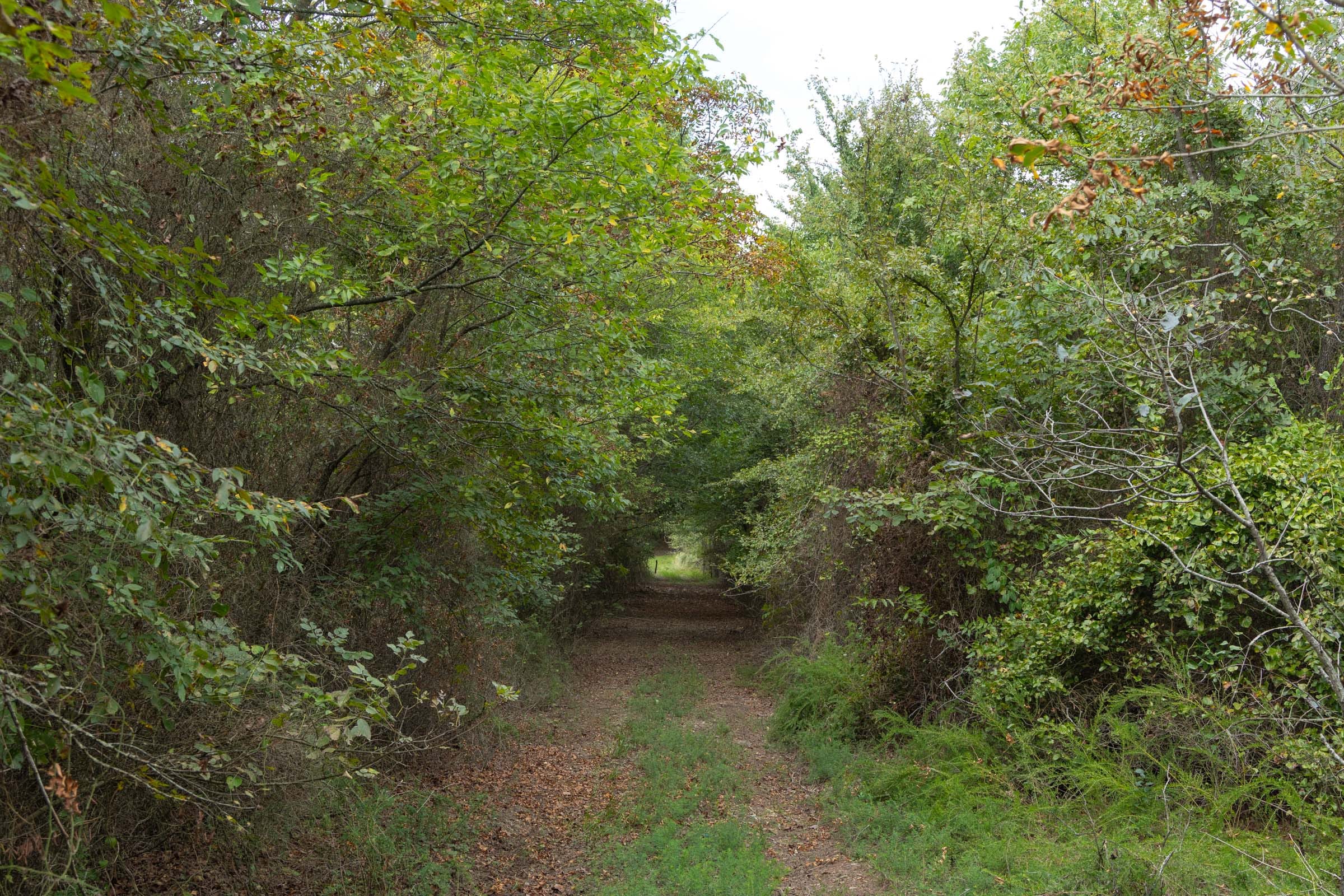 Reserves At Cattail Cove Phase II Tract 78 photo 7