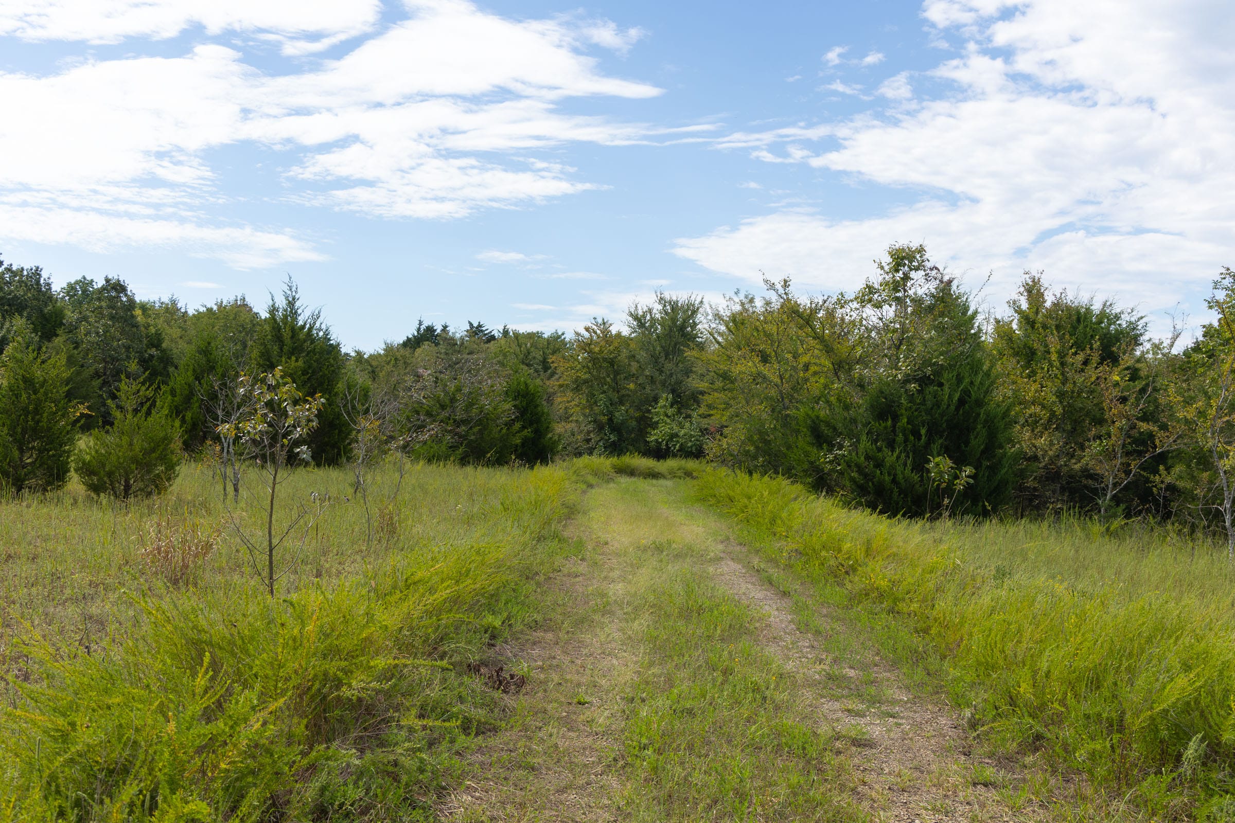 Reserves At Cattail Cove Phase II Tract 78 photo 18