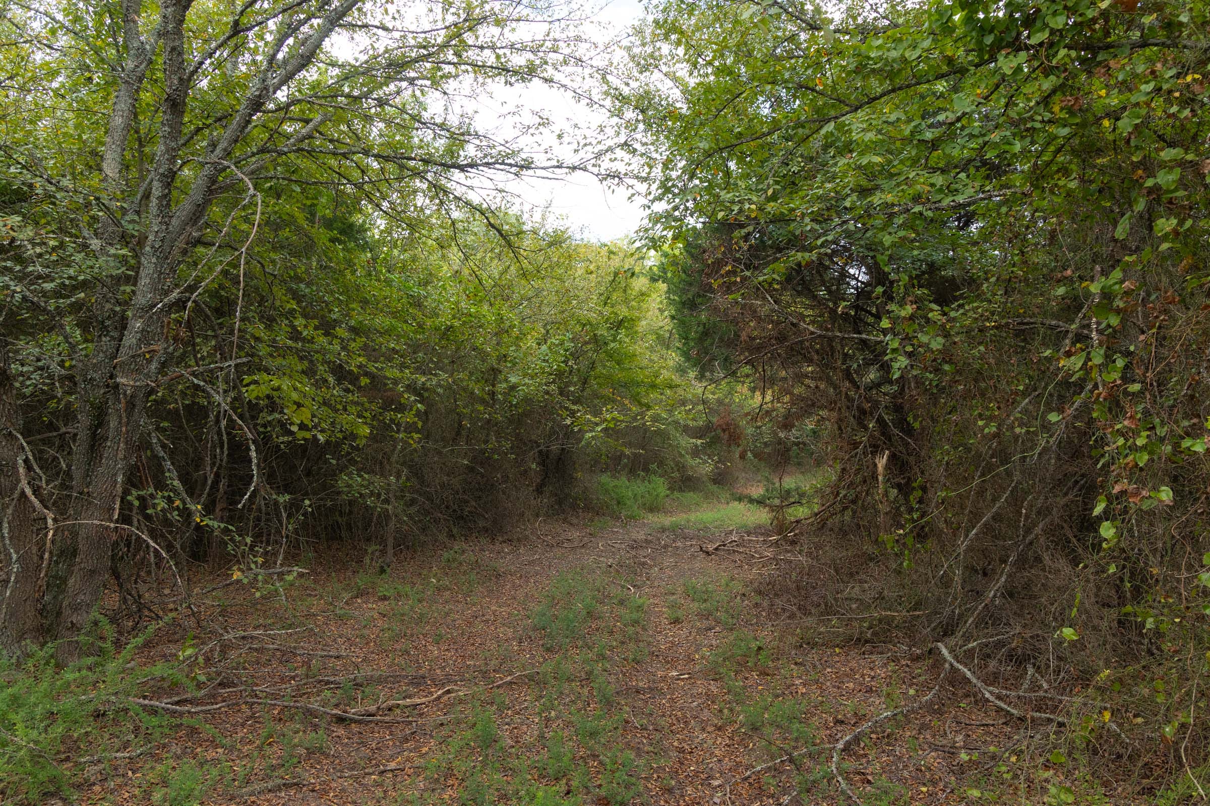 Reserves At Cattail Cove Phase II Tract 78 photo 17