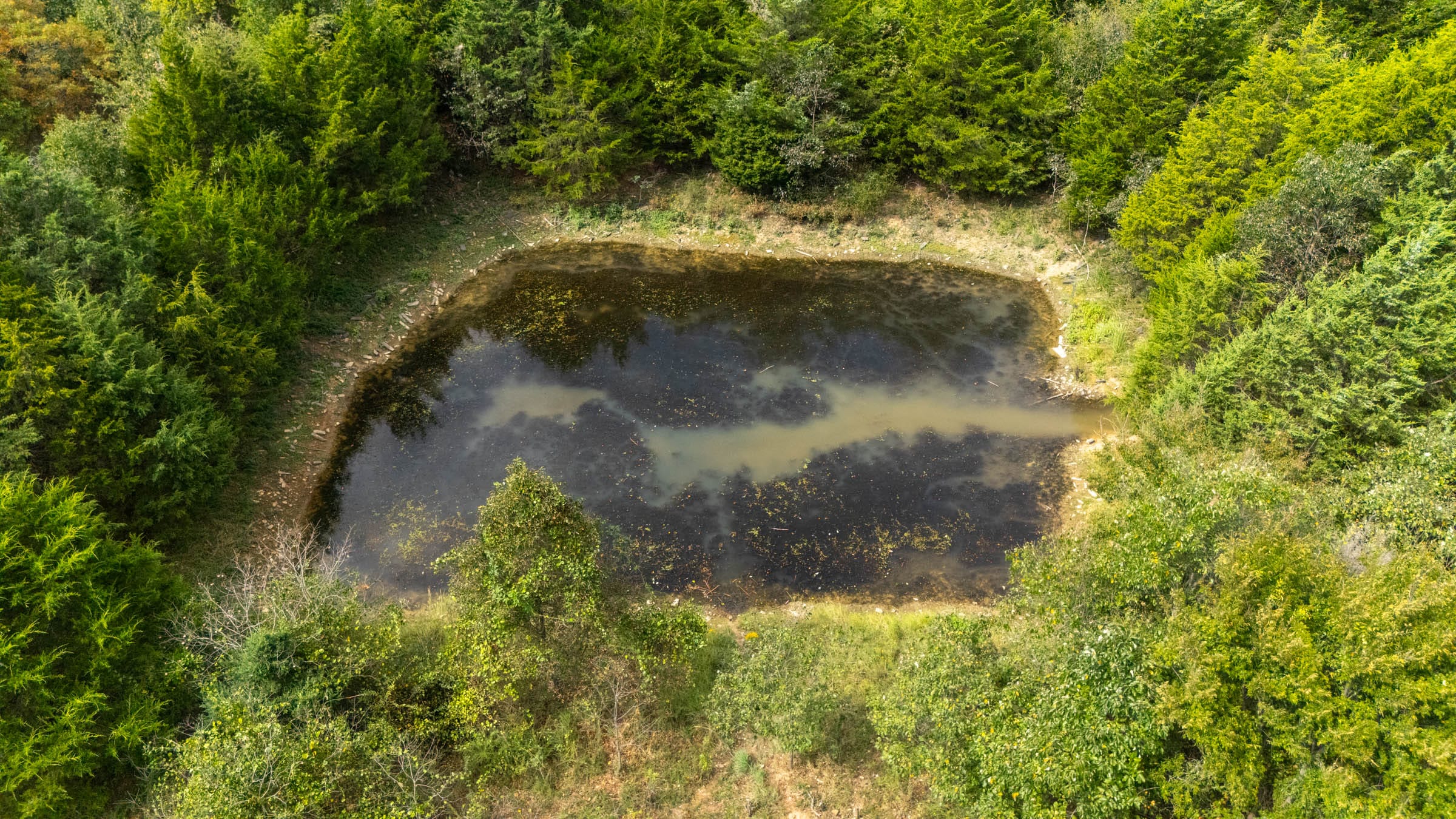 Reserves At Cattail Cove Phase II Tract 78 photo 6