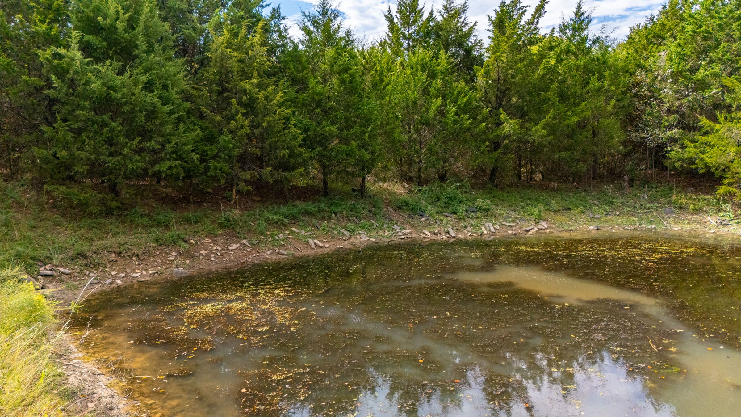 Reserves At Cattail Cove Phase II Tract 78 photo 8