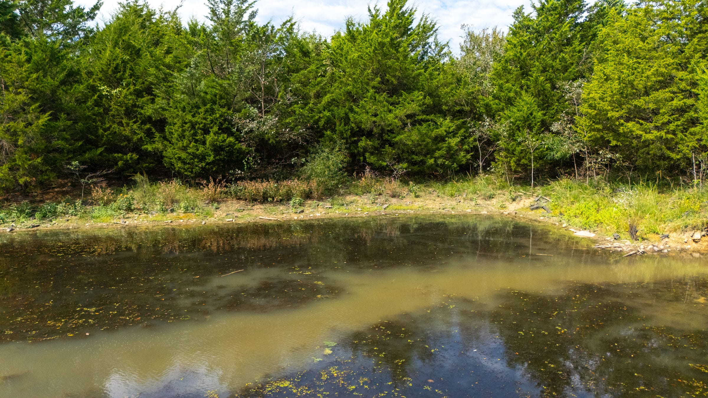 Reserves At Cattail Cove Phase II Tract 78 photo 4