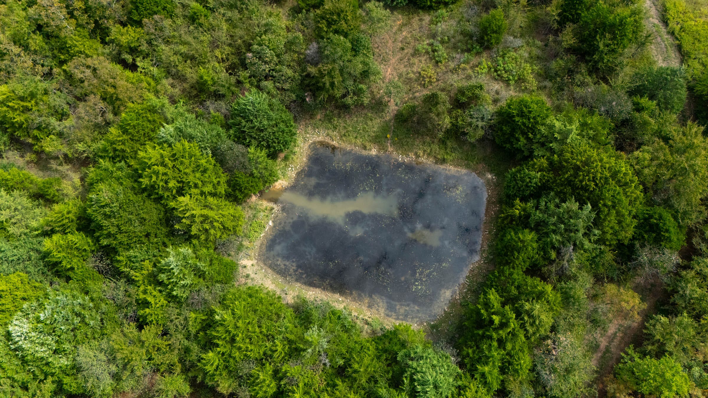 Reserves At Cattail Cove Phase II Tract 78 photo 2