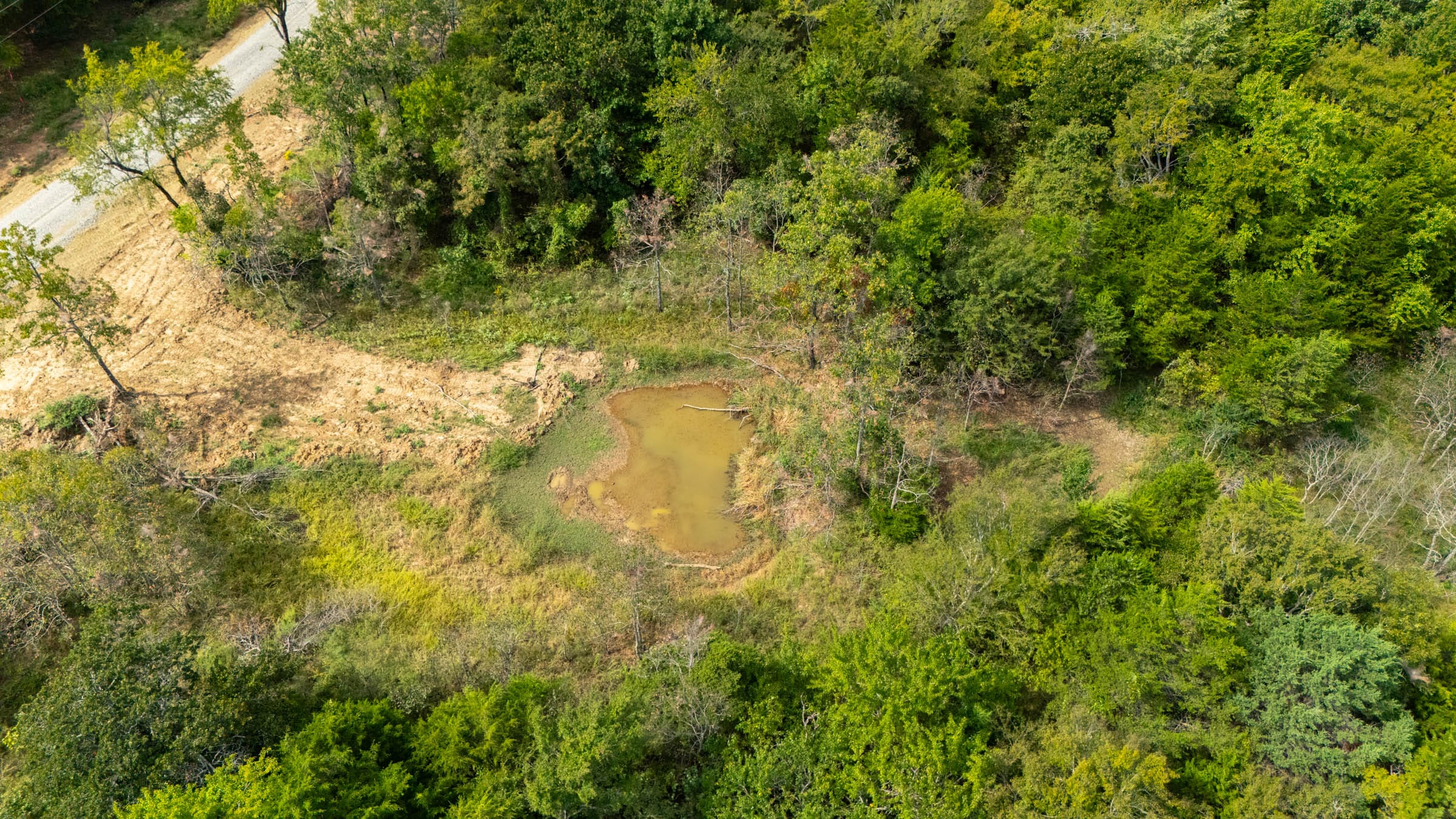 Reserves At Cattail Cove Phase II Tract 78 photo 9