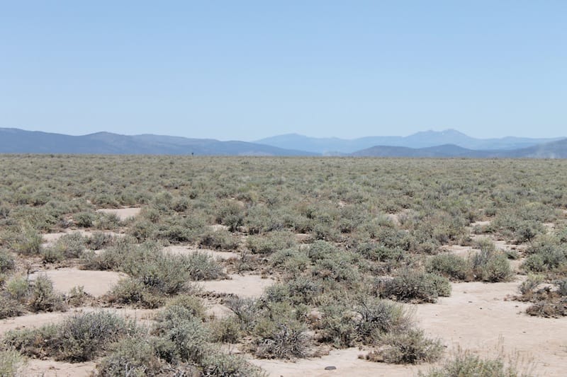 Moon Valley Ranch Tract 316 photo 7