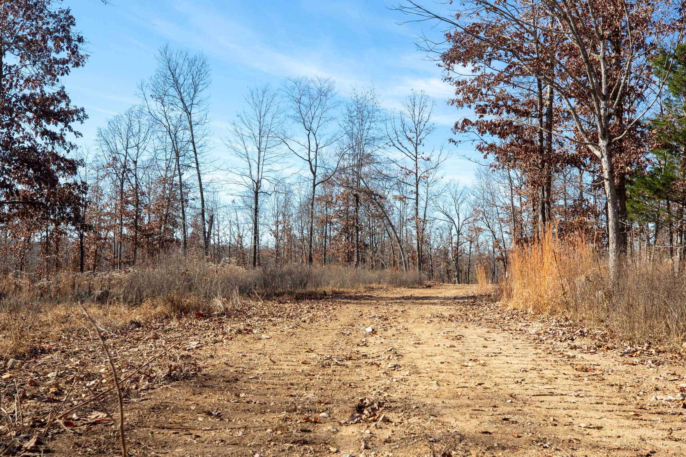 Dutchman Hollow Tract 5 photo 2