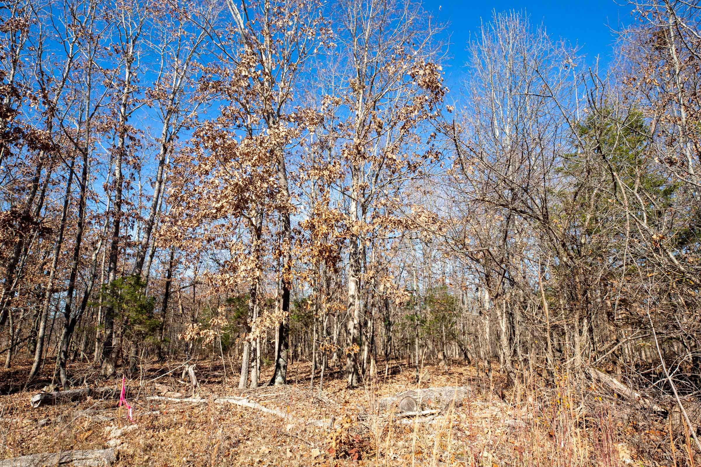 Dutchman Hollow Tract 5 photo 3