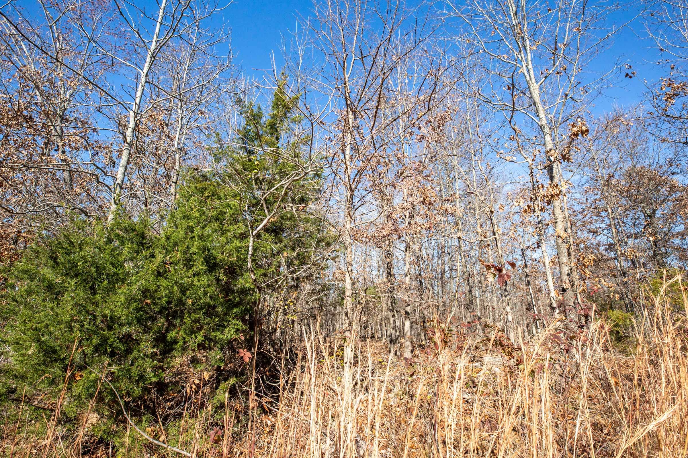 Dutchman Hollow Tract 5 photo 4