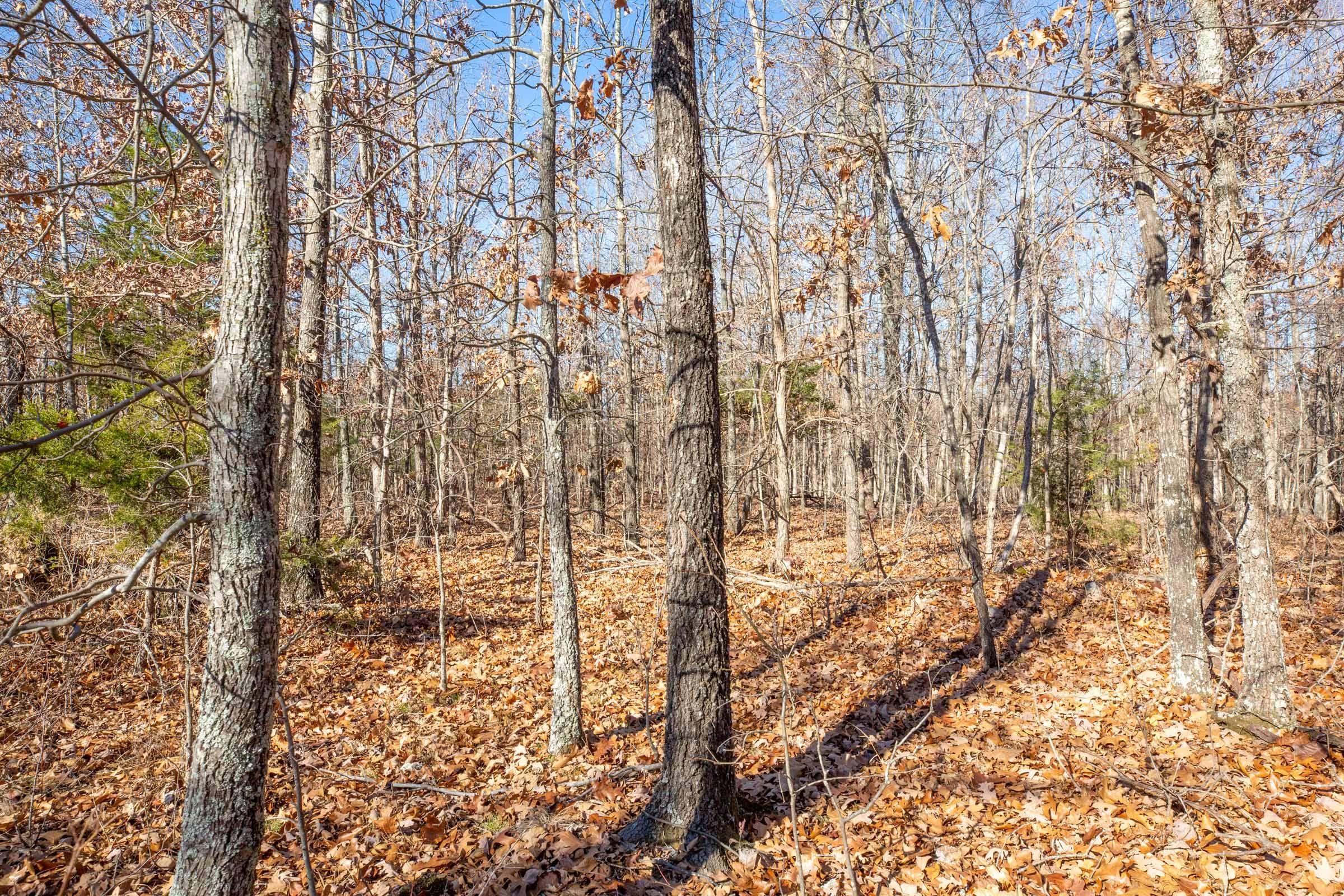 Dutchman Hollow Tract 5 photo 5