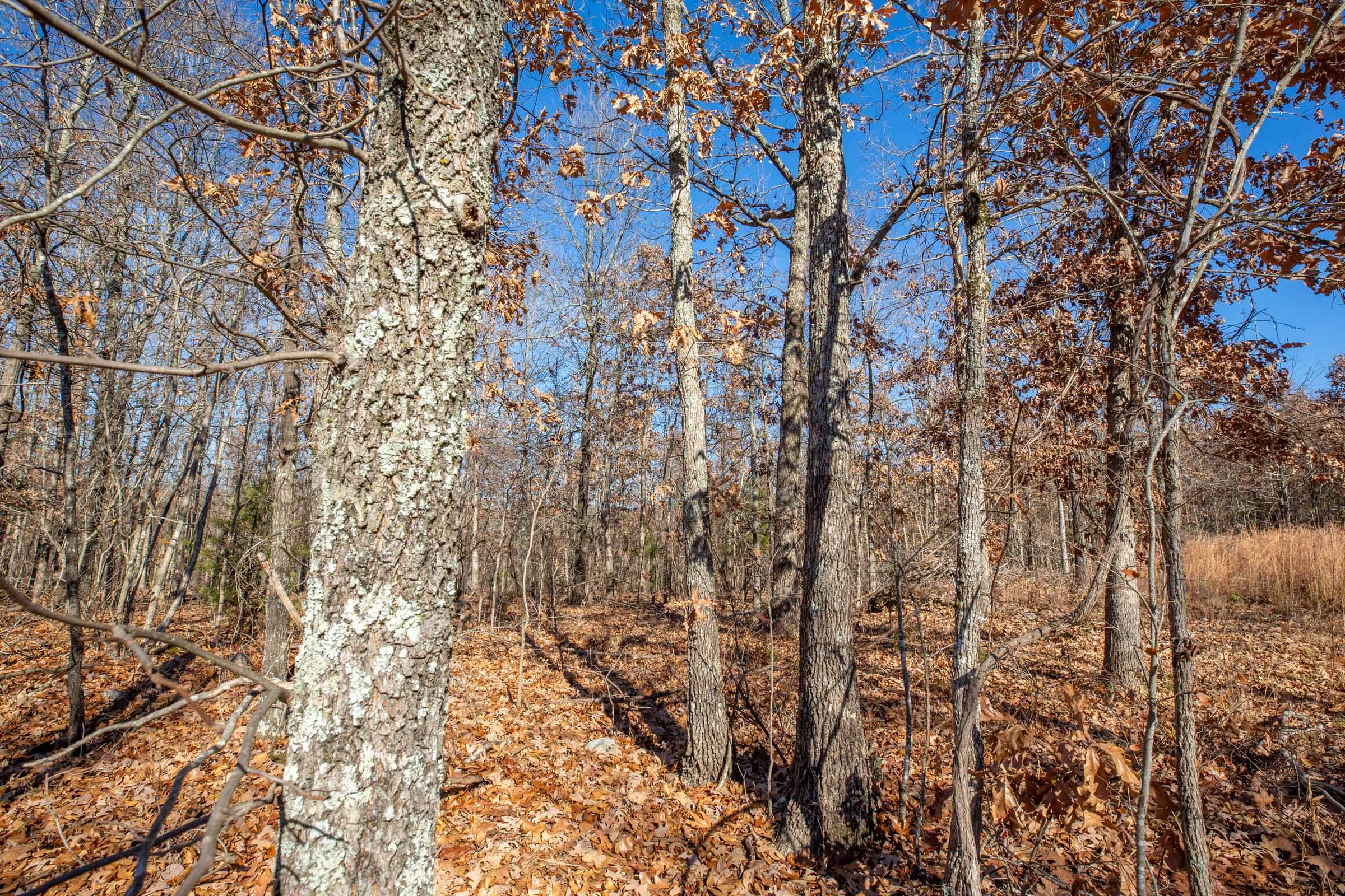 Dutchman Hollow Tract 5 photo 11