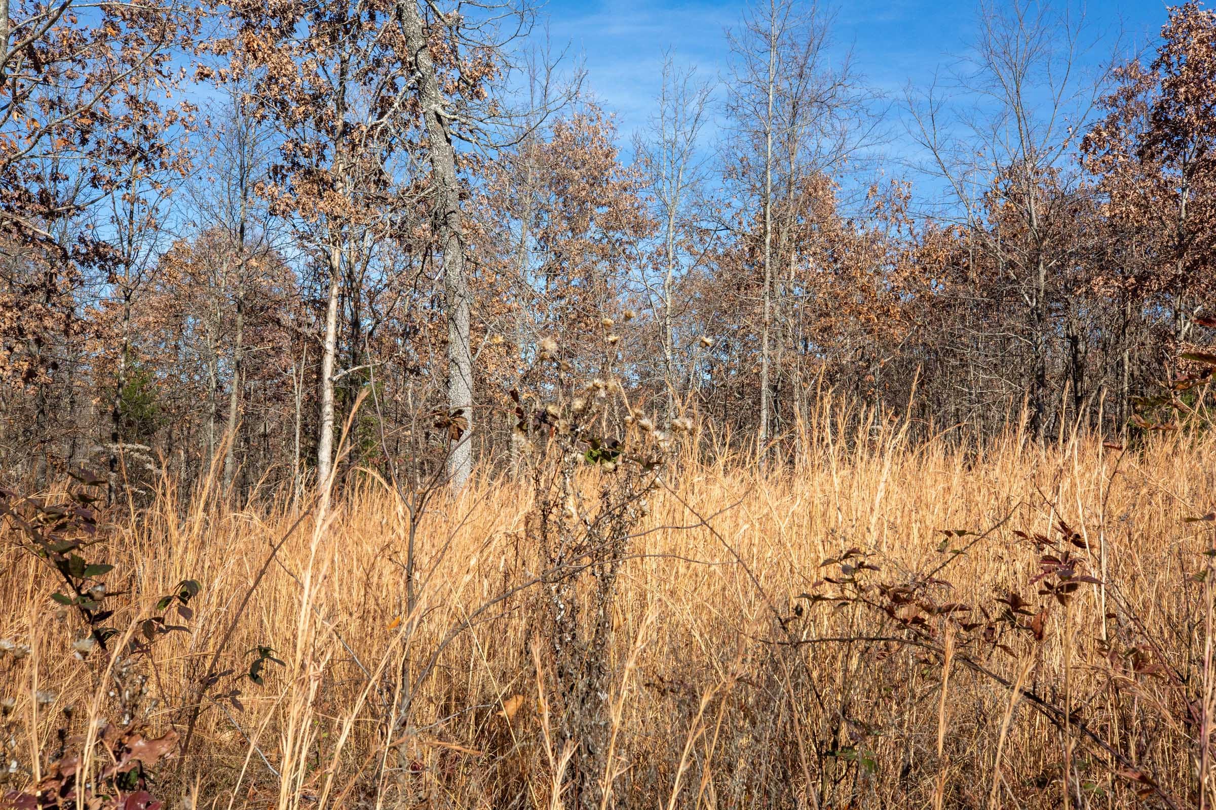 Dutchman Hollow Tract 5 photo 9