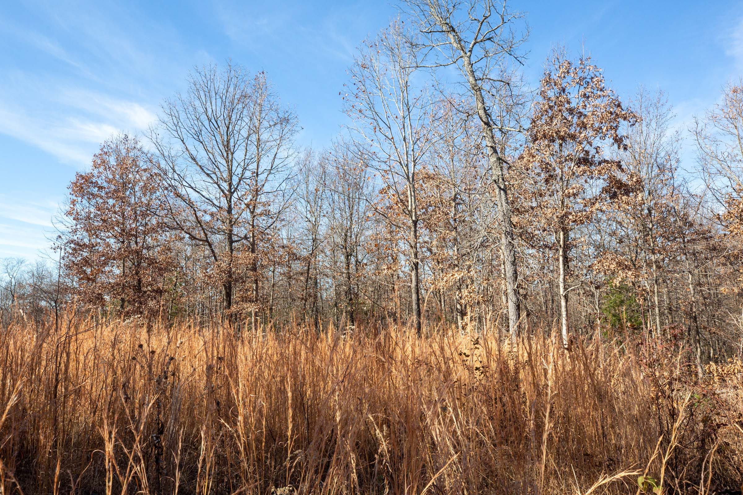Dutchman Hollow Tract 5 photo 1