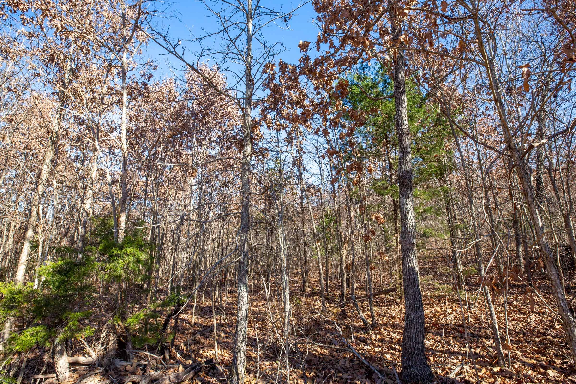 Dutchman Hollow Tract 5 photo 6