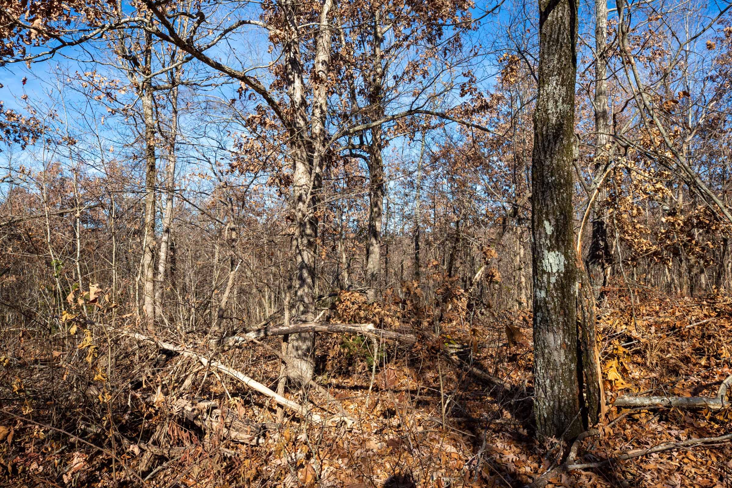 Dutchman Hollow Tract 5 photo 10