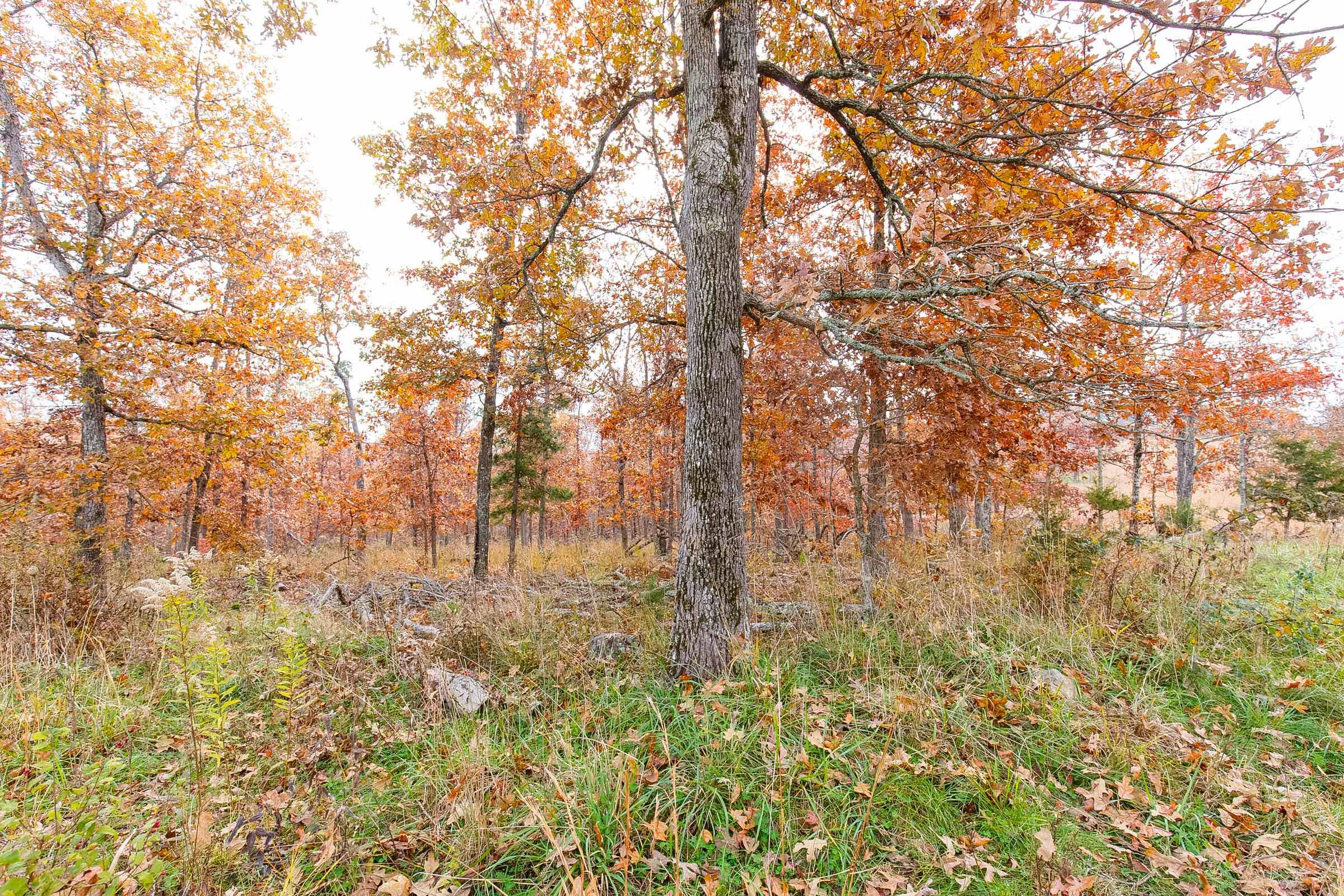 Hawkcrest Tract 15 photo 11