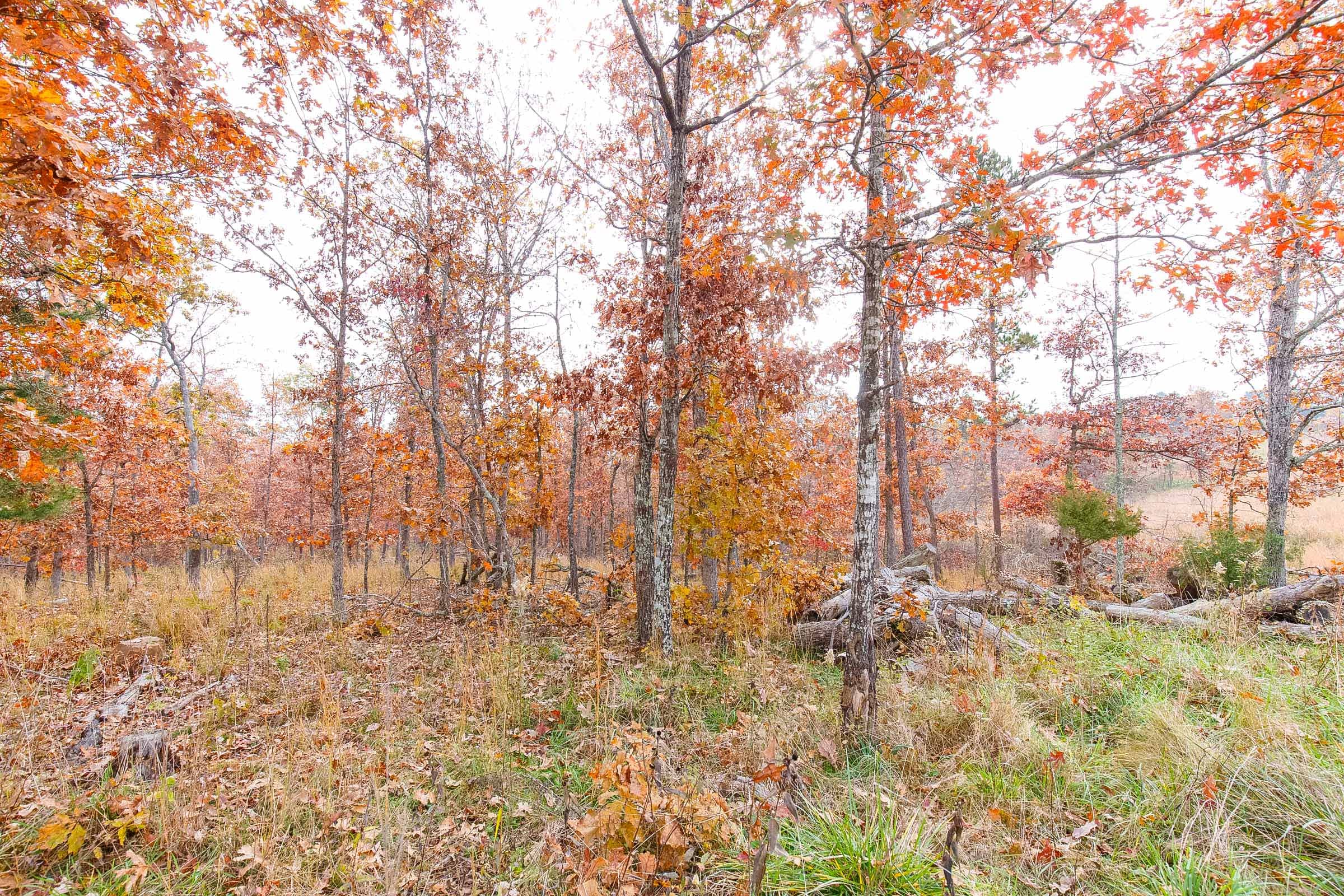Hawkcrest Tract 15 photo 12