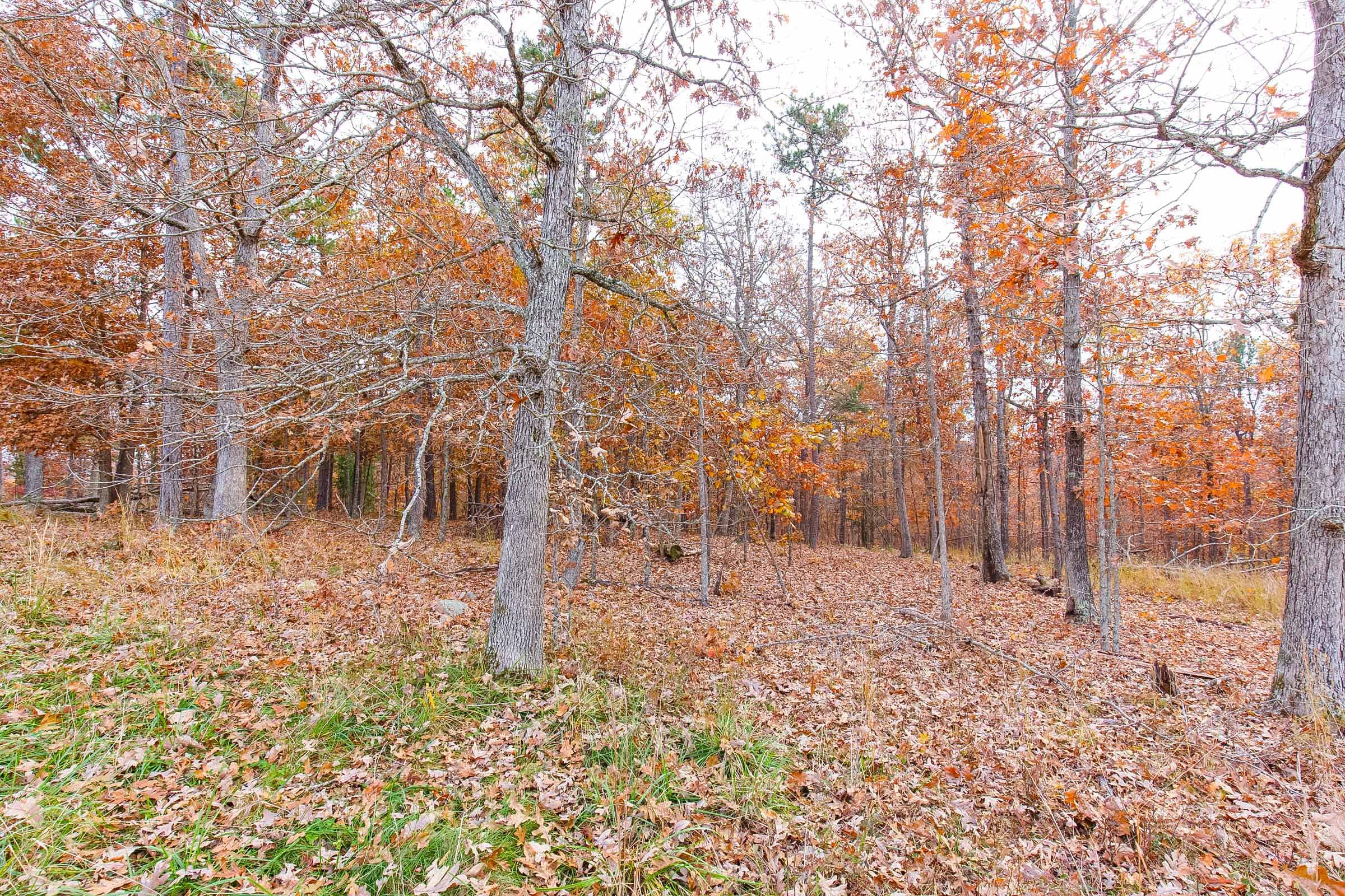 Hawkcrest Tract 15 photo 14
