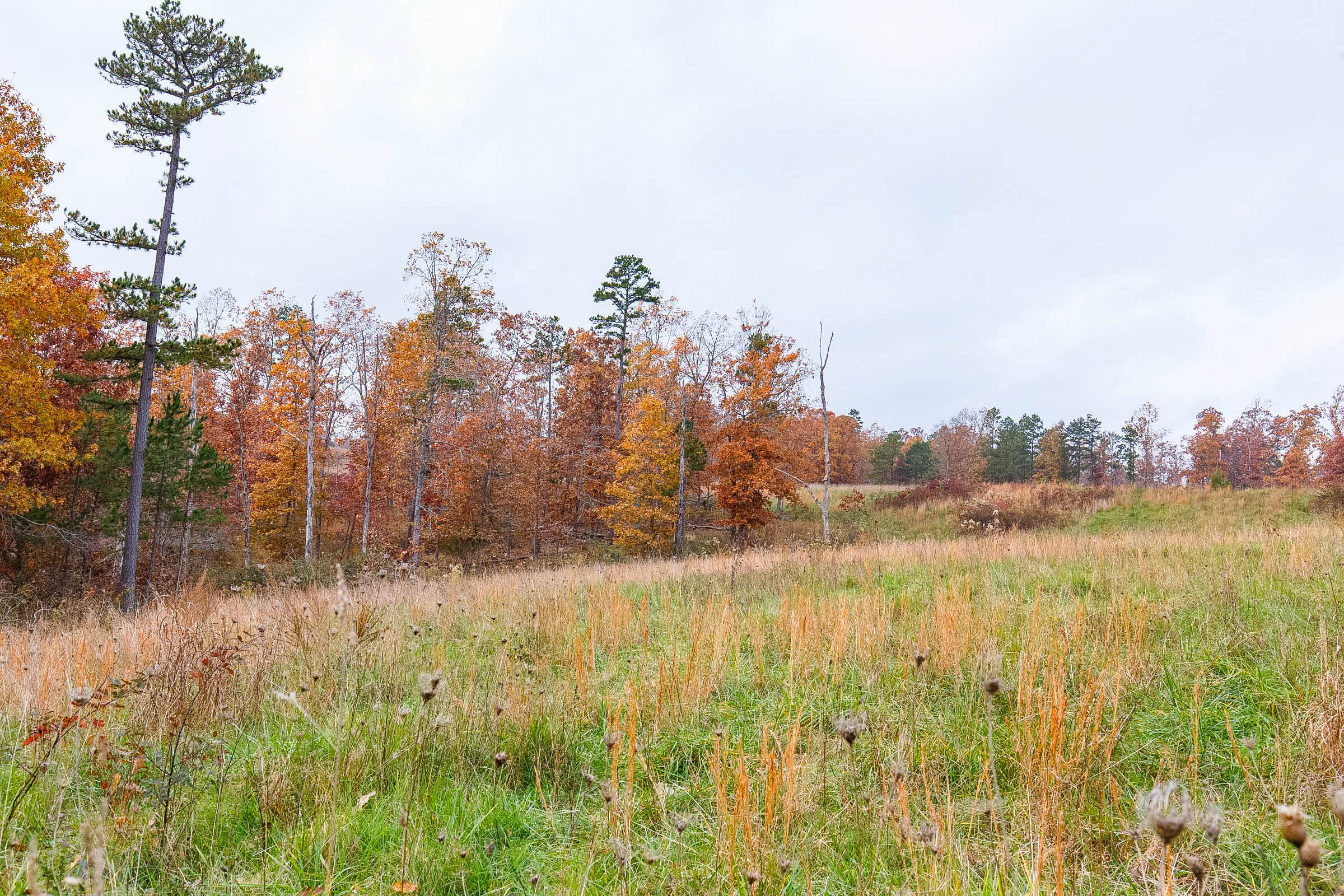 Hawkcrest Tract 15 photo 18