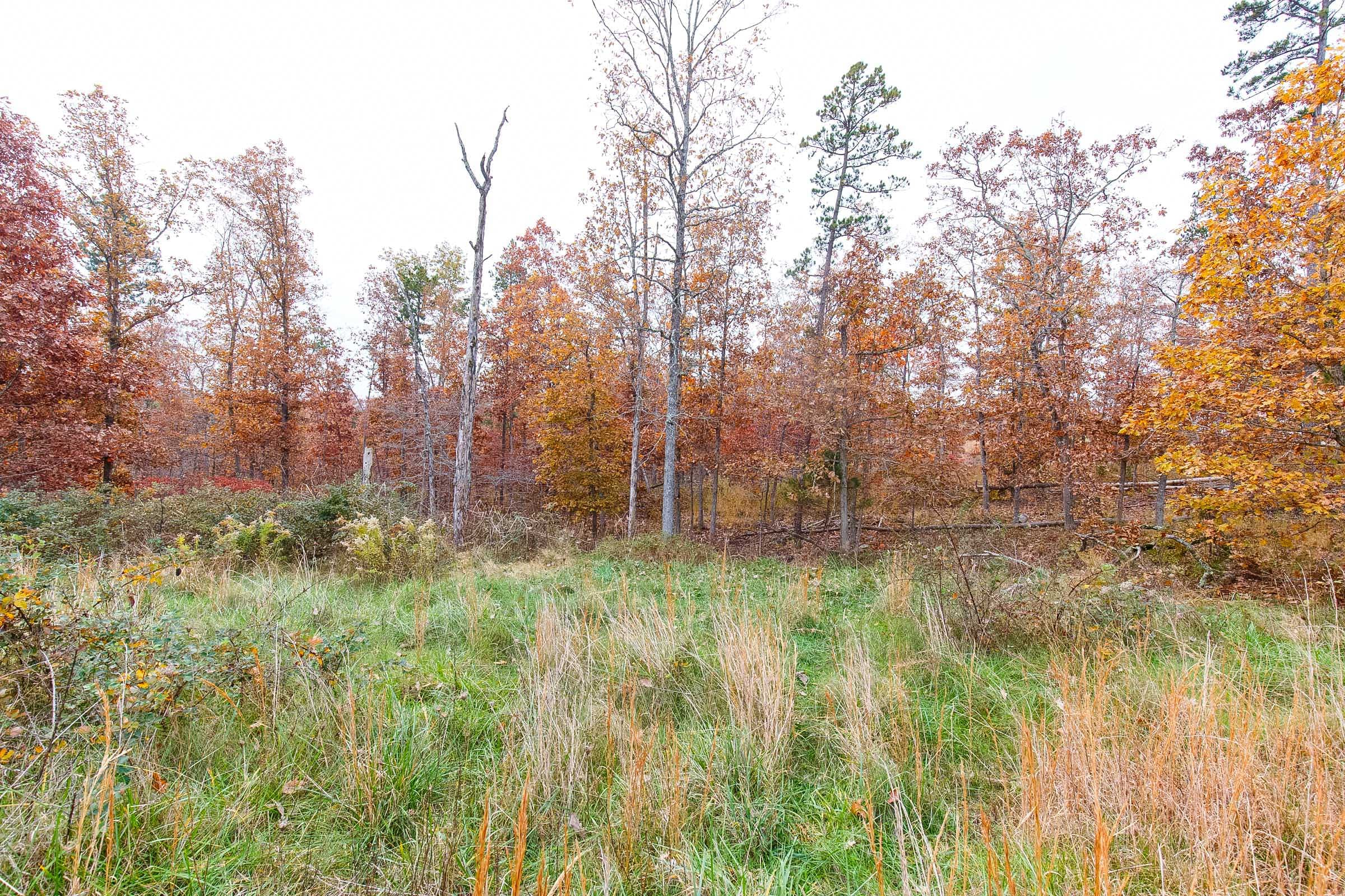 Hawkcrest Tract 15 photo 20