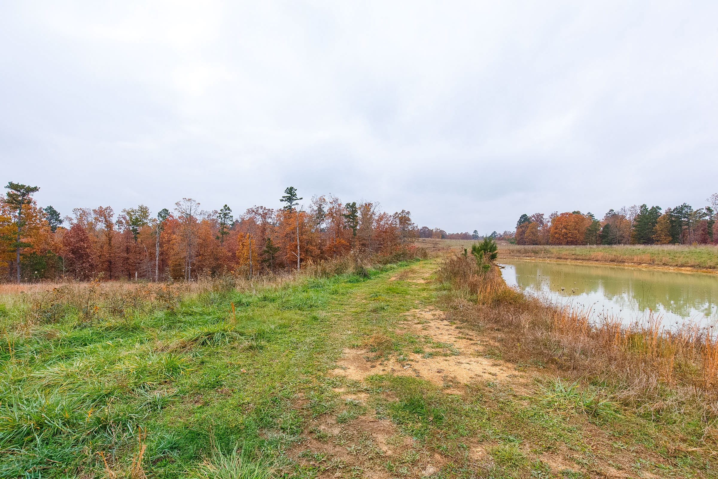 Hawkcrest Tract 15 photo 17