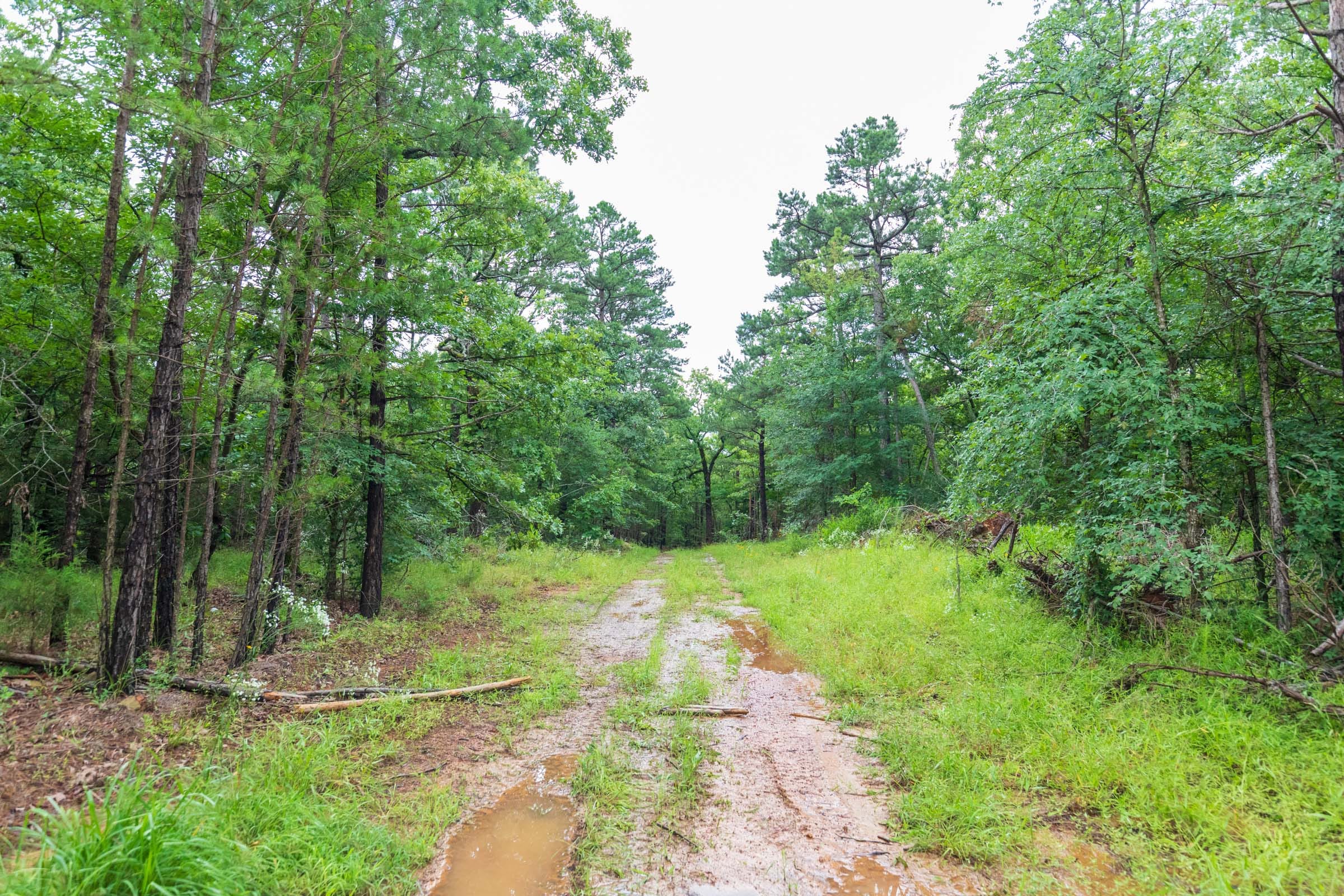 Stone Bridge Phase VI Tract 444 photo 1