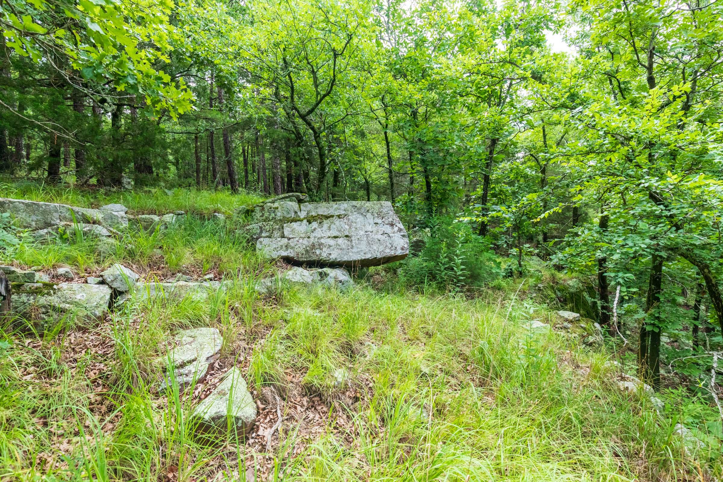 Stone Bridge Phase VI Tract 444 photo 3