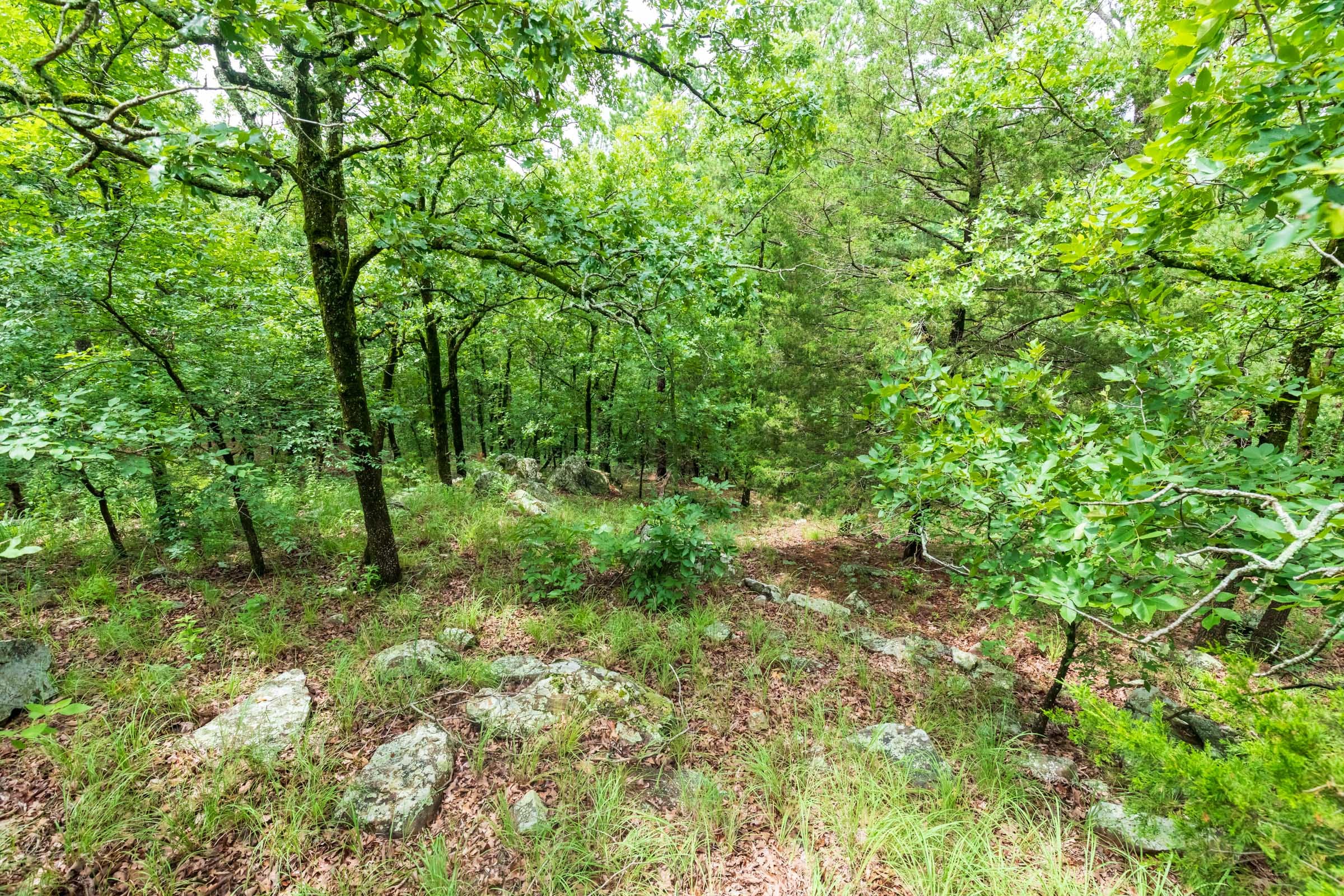 Stone Bridge Phase VI Tract 444 photo 11