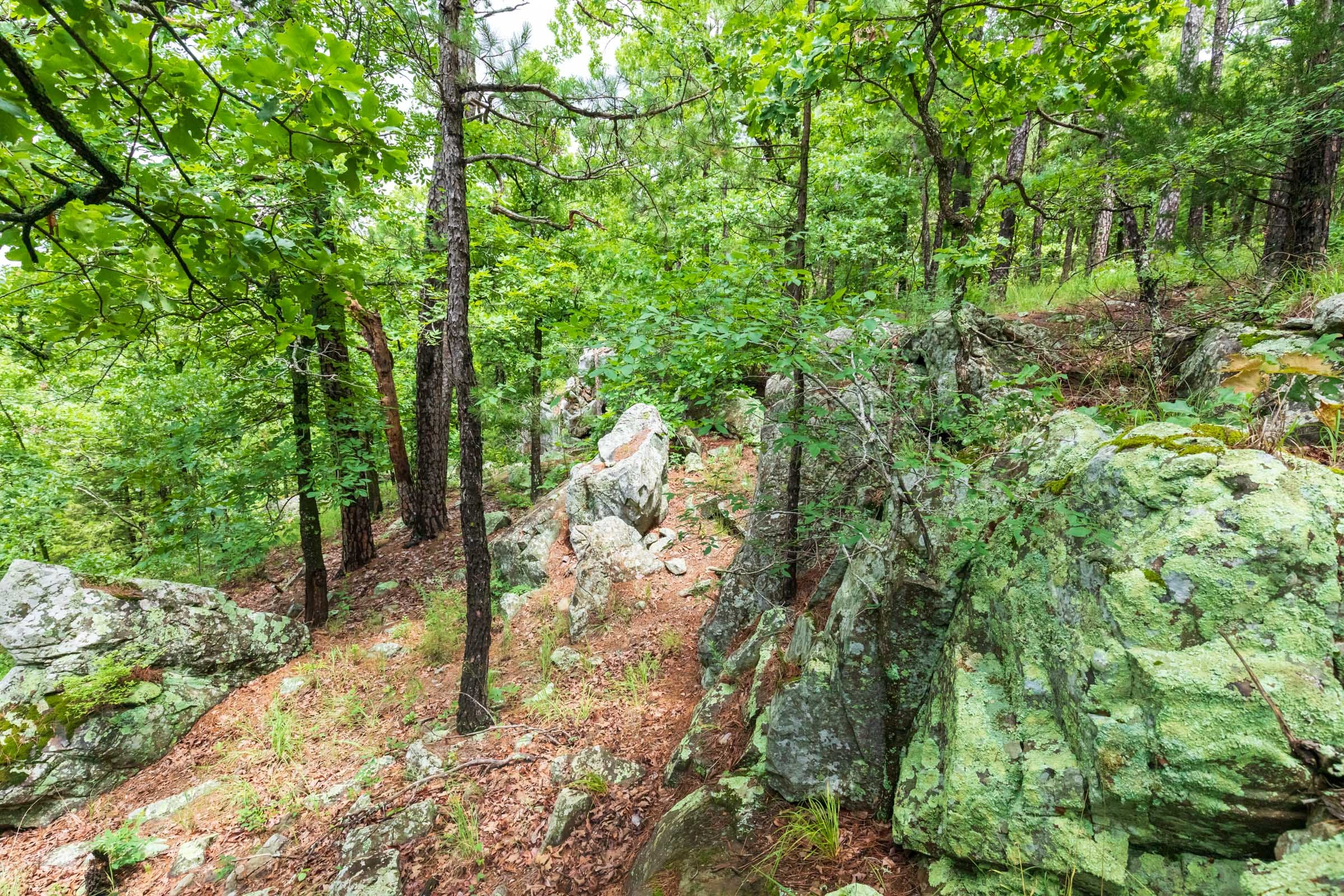 Stone Bridge Phase VI Tract 444 photo 14