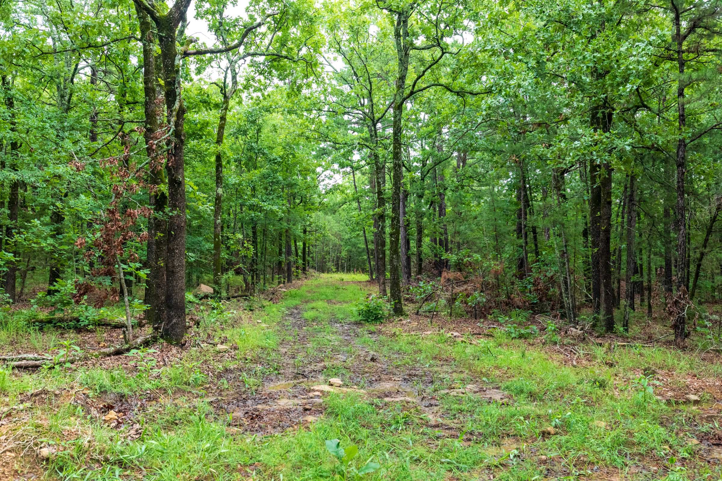Stone Bridge Phase VI Tract 444 photo 8