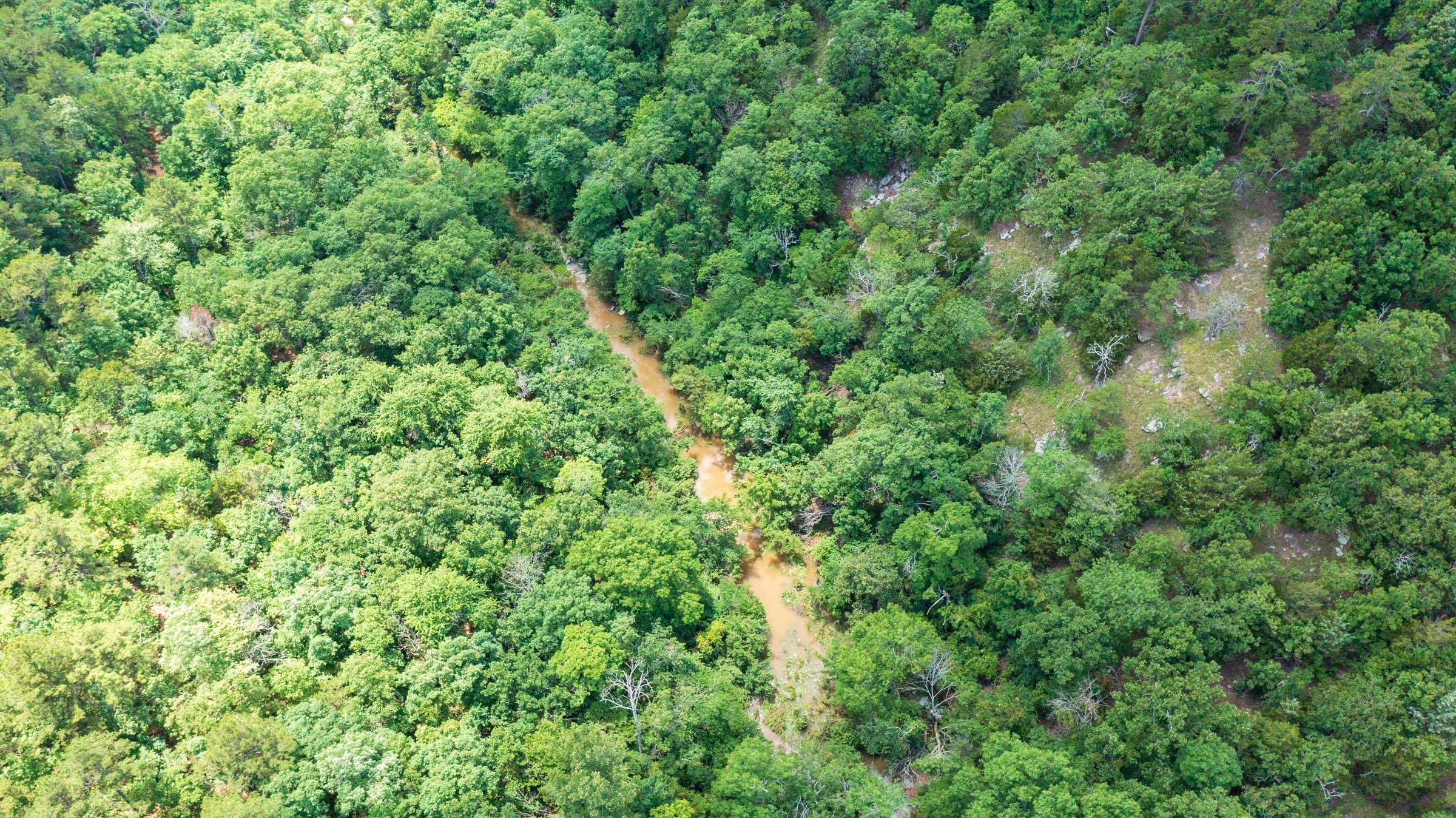 Stone Bridge Phase VI Tract 444 photo 12