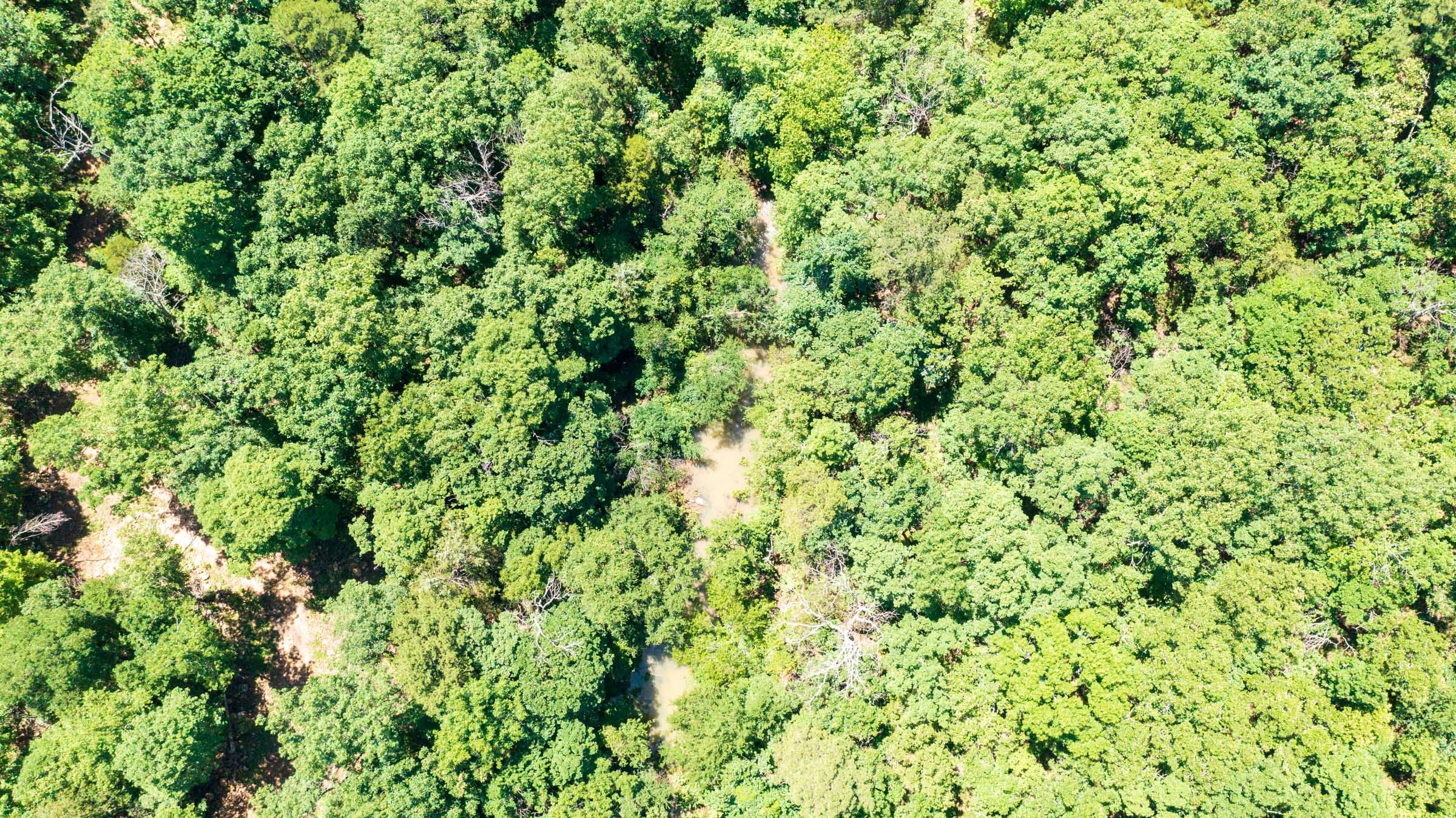 Stone Bridge Phase VI Tract 444 photo 17
