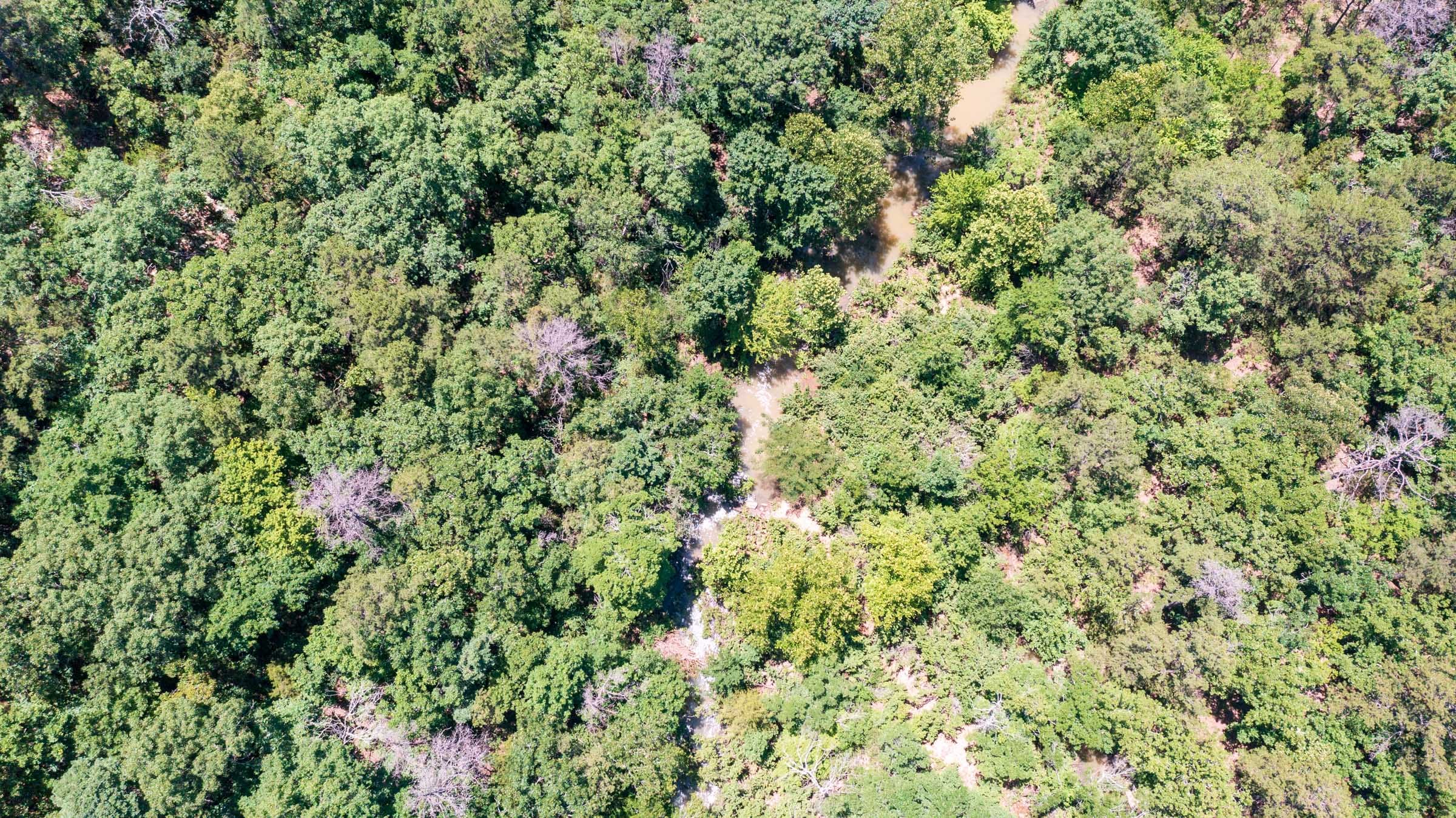 Stone Bridge Phase VI Tract 444 photo 15