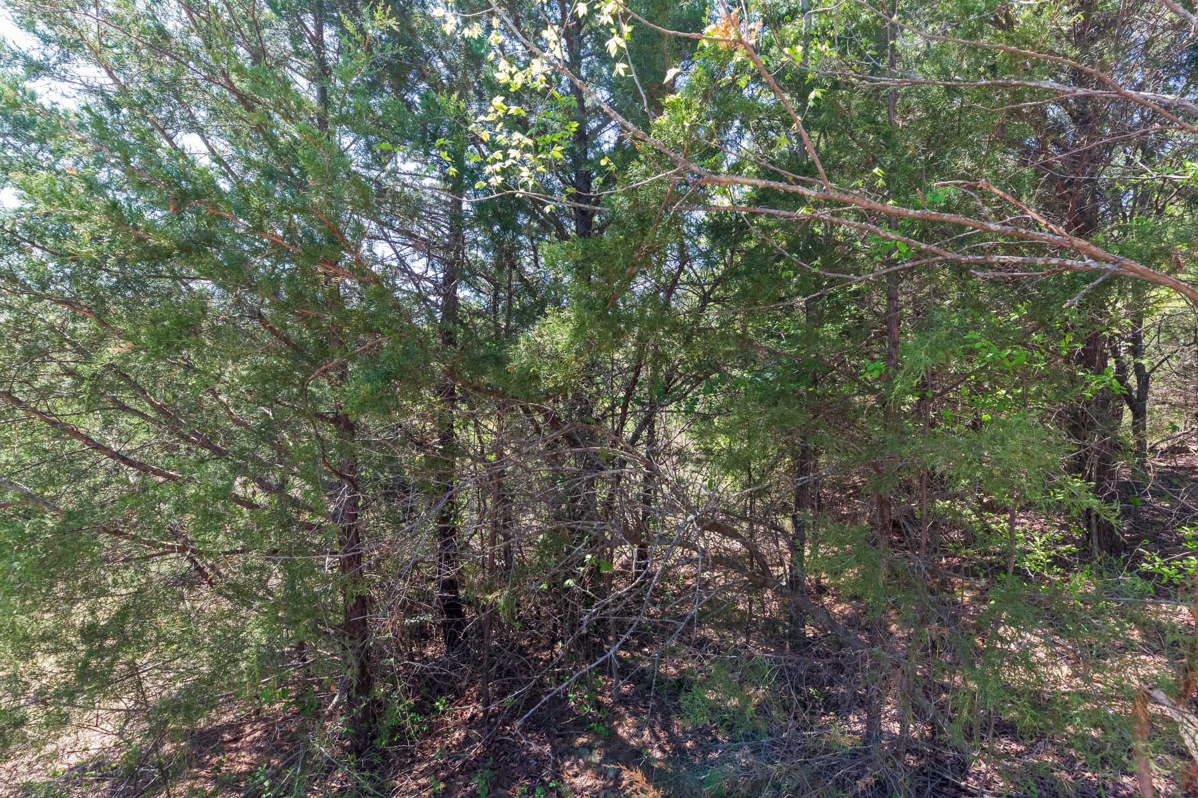 Prairie Grove Tract 14 photo 12
