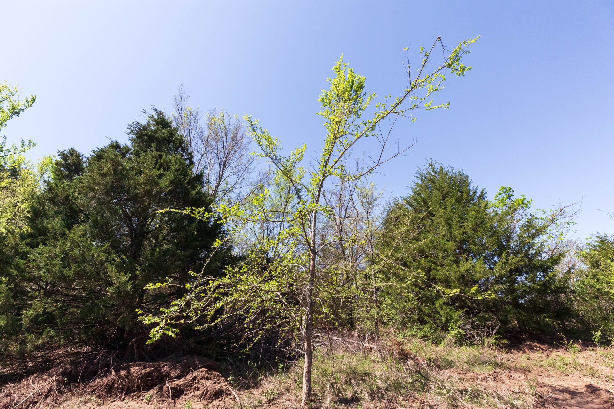 Prairie Grove Tract 14 photo 2