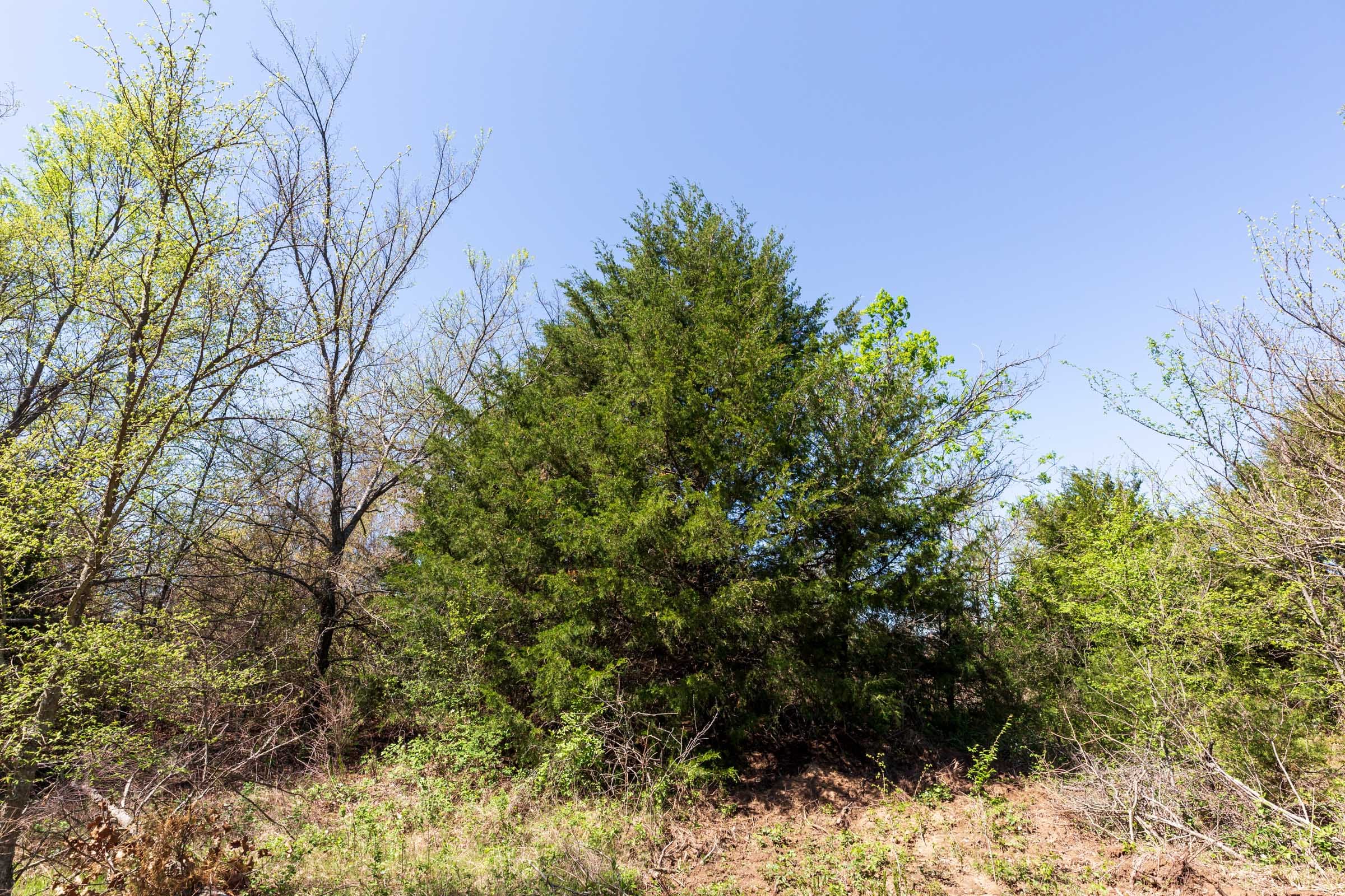 Prairie Grove Tract 14 photo 3