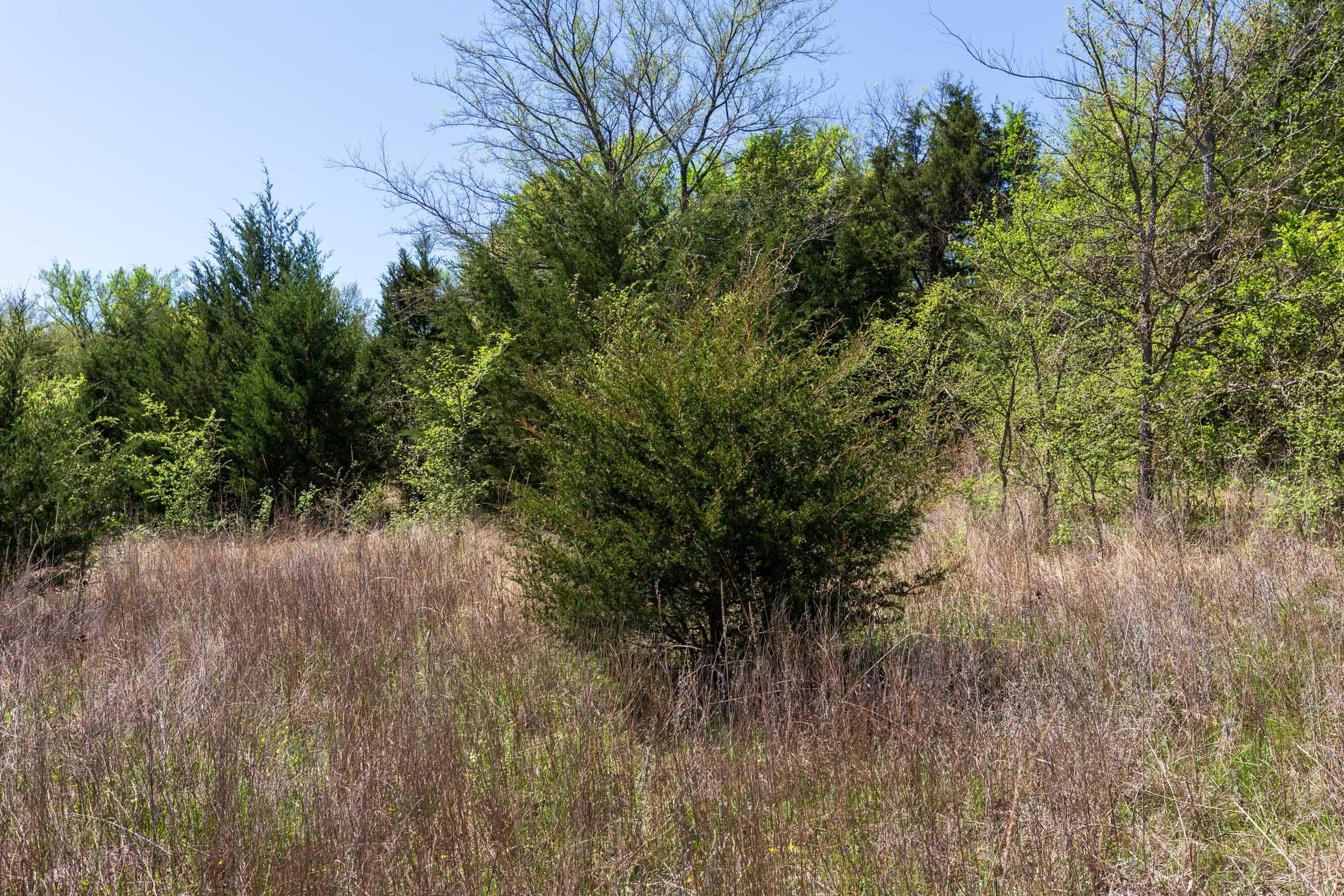 Prairie Grove Tract 14 photo 9