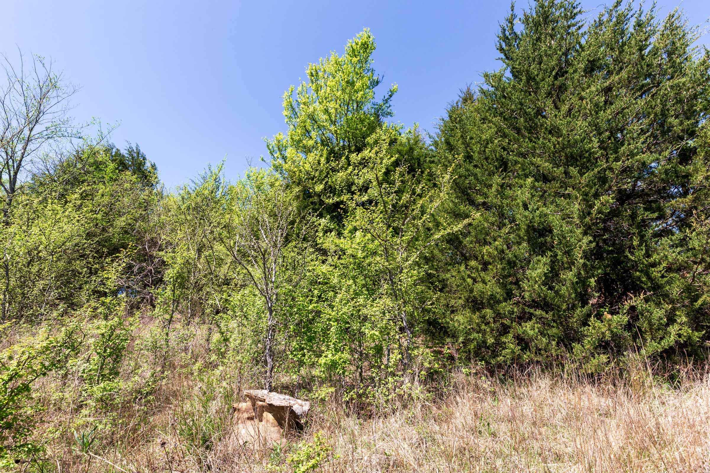 Prairie Grove Tract 14 photo 5