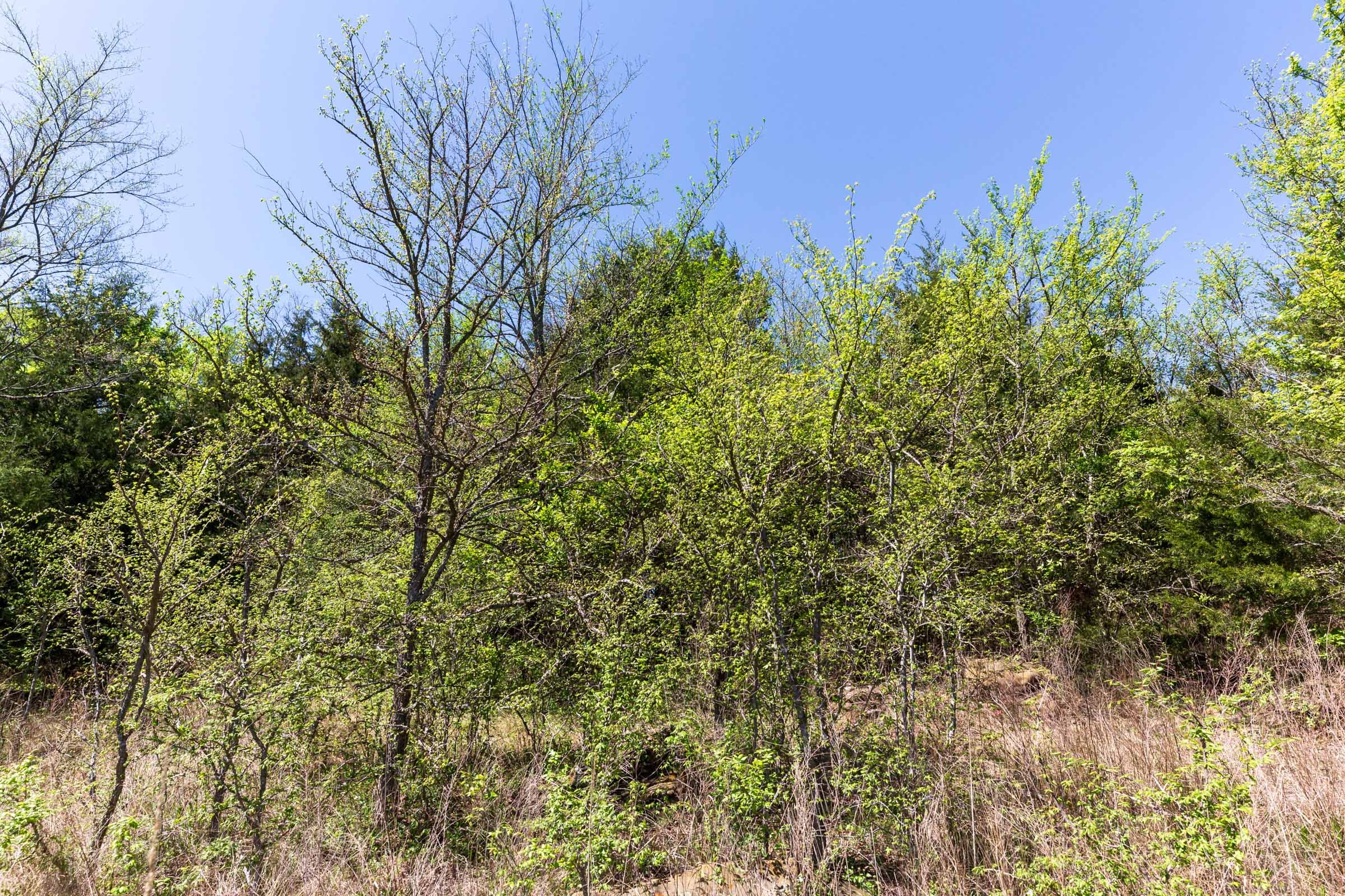 Prairie Grove Tract 14 photo 11