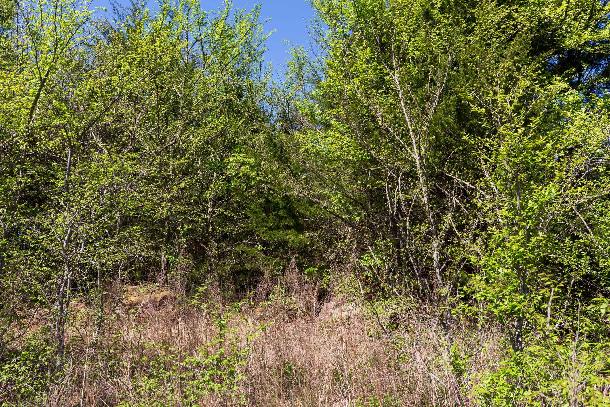 Prairie Grove Tract 14 photo 7